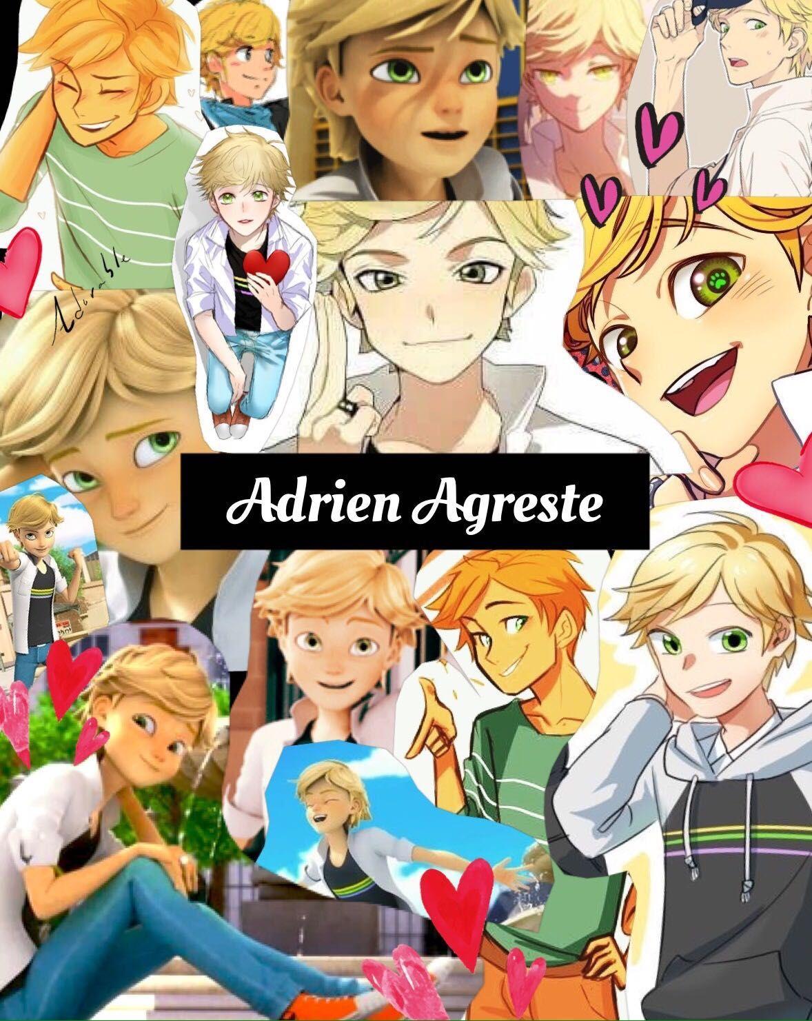 Adrien Agreste Wallpapers Wallpaper Cave