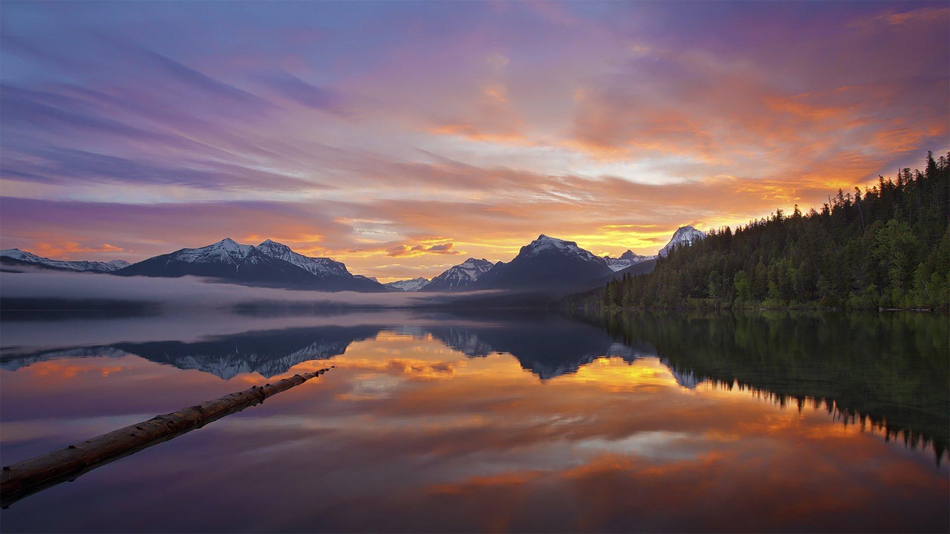 4k Flower Desktop Scenario Wallpapers Wallpaper Cave