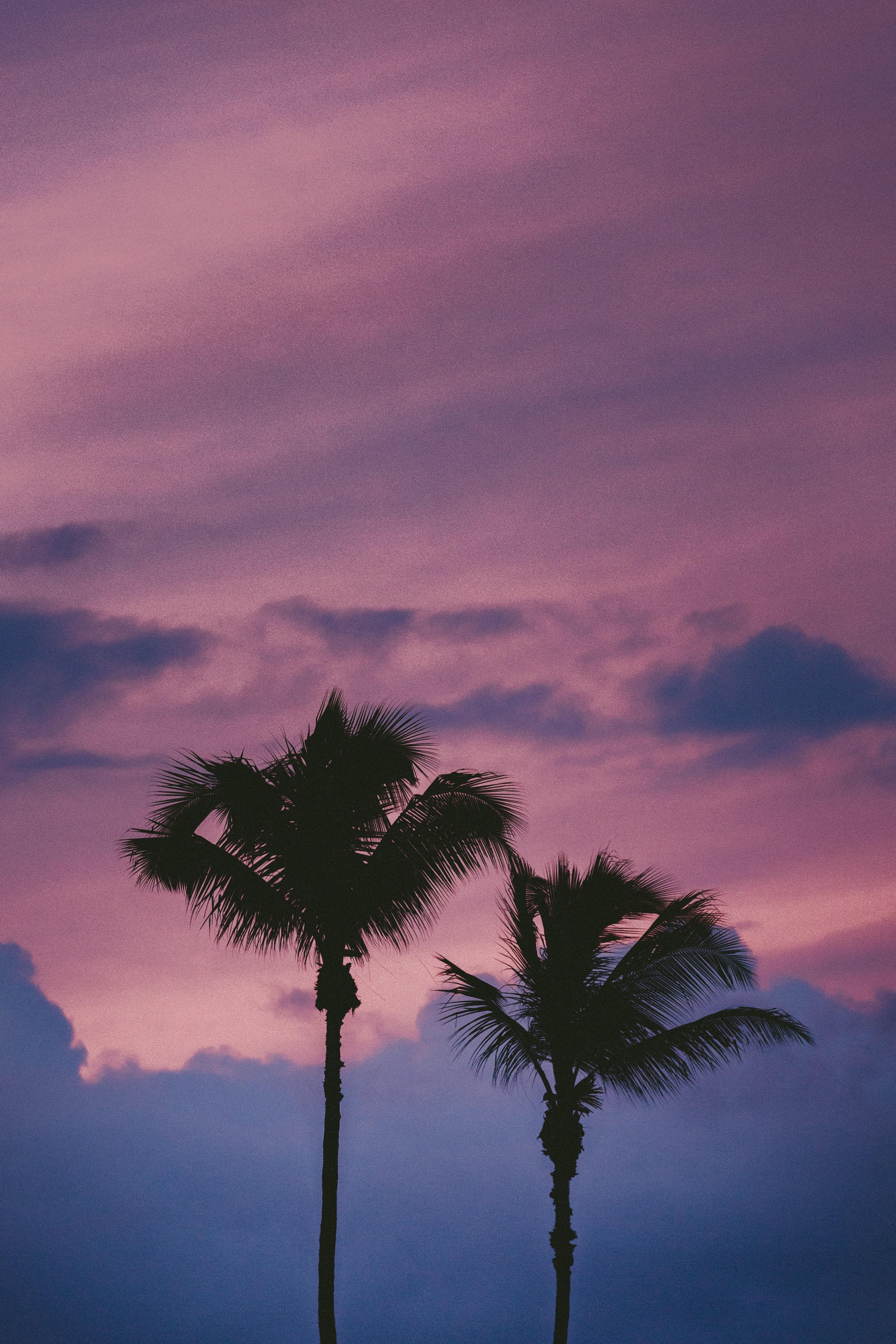 Pink purple aesthetic wallpaper pumpryte