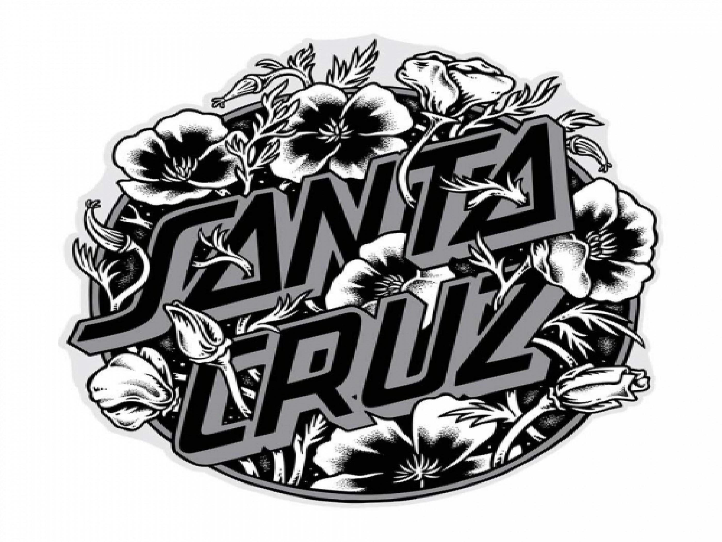 Santa Cruz Computer Wallpapers Wallpaper Cave
