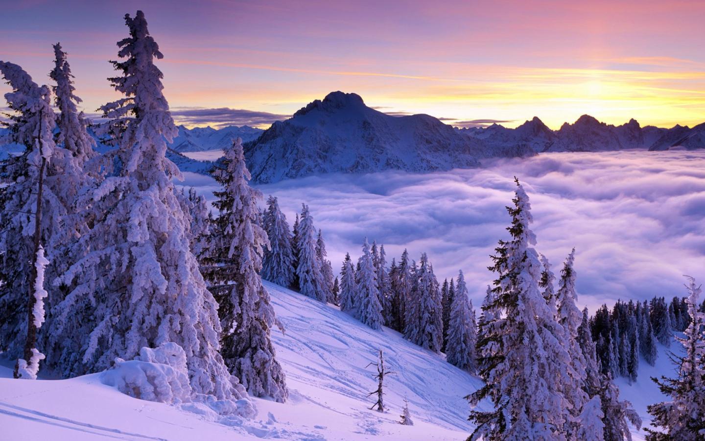 Magical Winter Wallpapers Wallpaper Cave