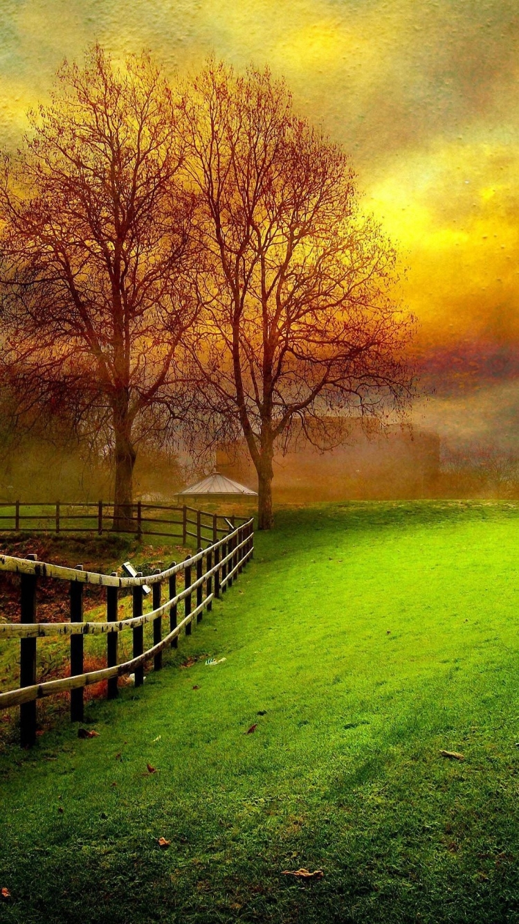 Smartphone Nature Wallpapers Wallpaper Cave