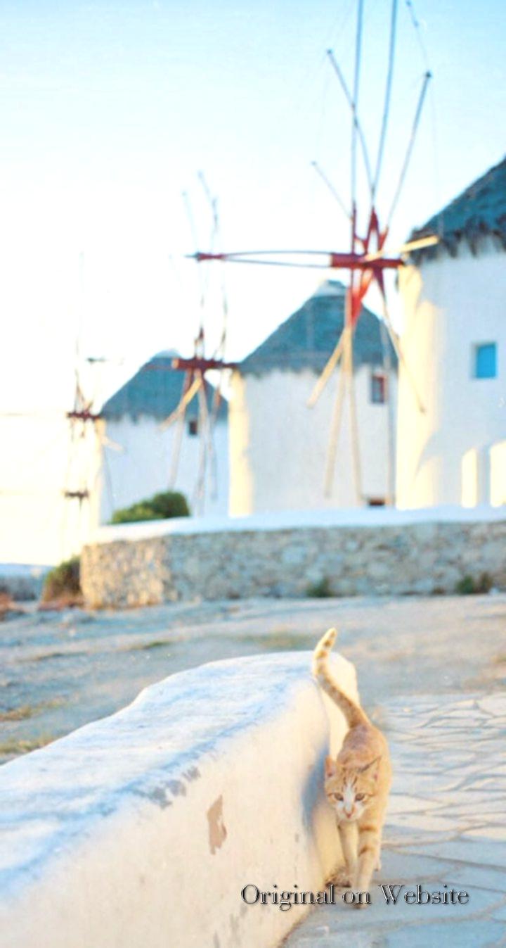 Aesthetic iPhone XR Wallpapers Wallpaper Cave