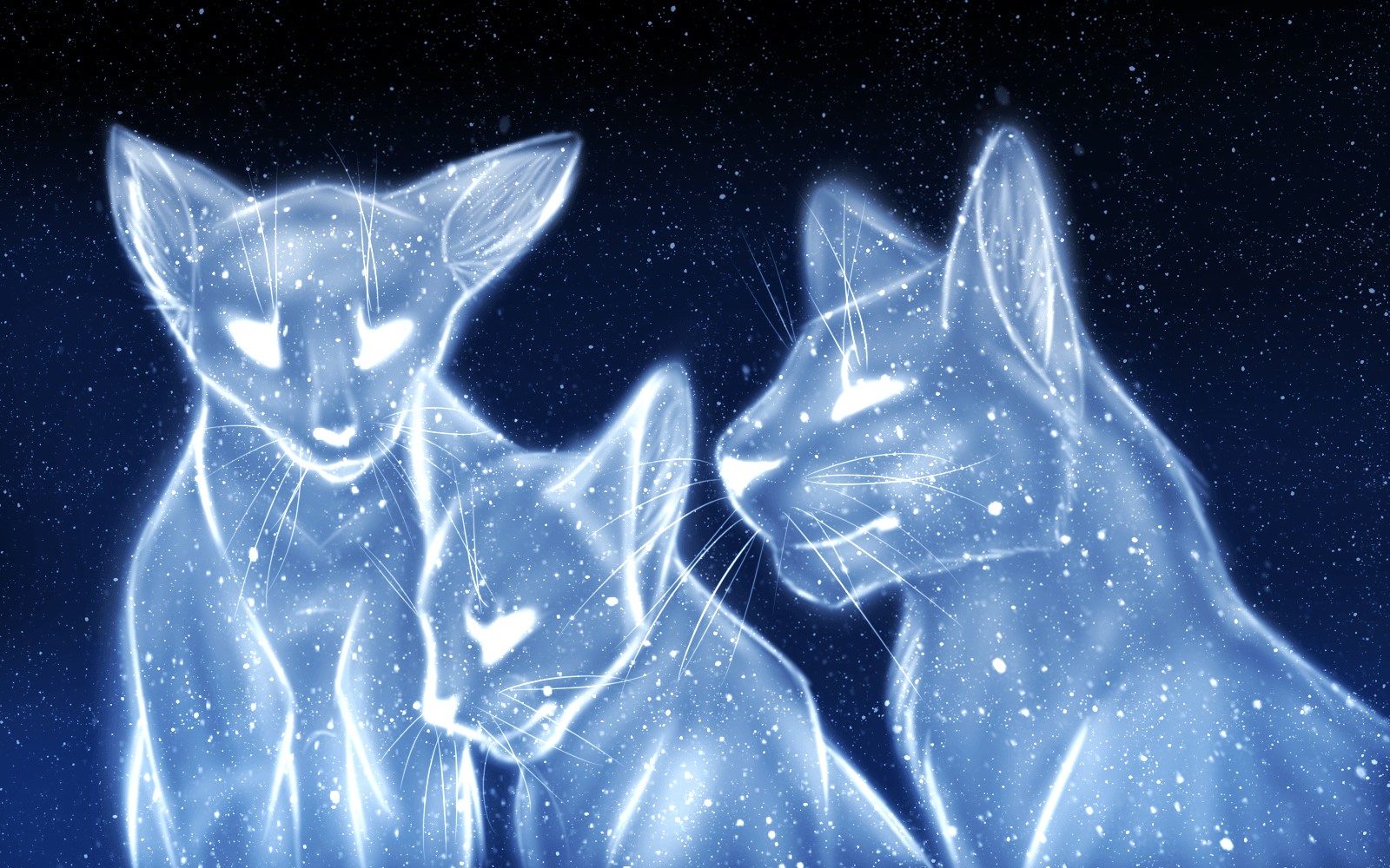 Warrior Cat Wallpapers Wallpaper Cave