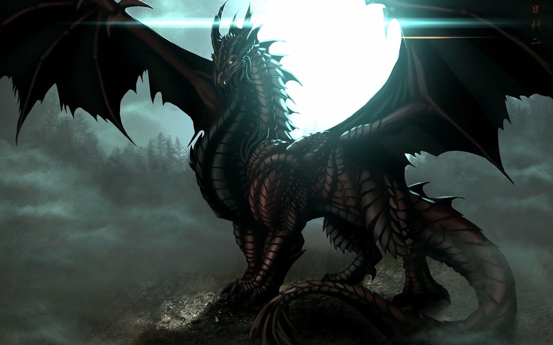 Chinese Dark Dragon Wallpapers Wallpaper Cave
