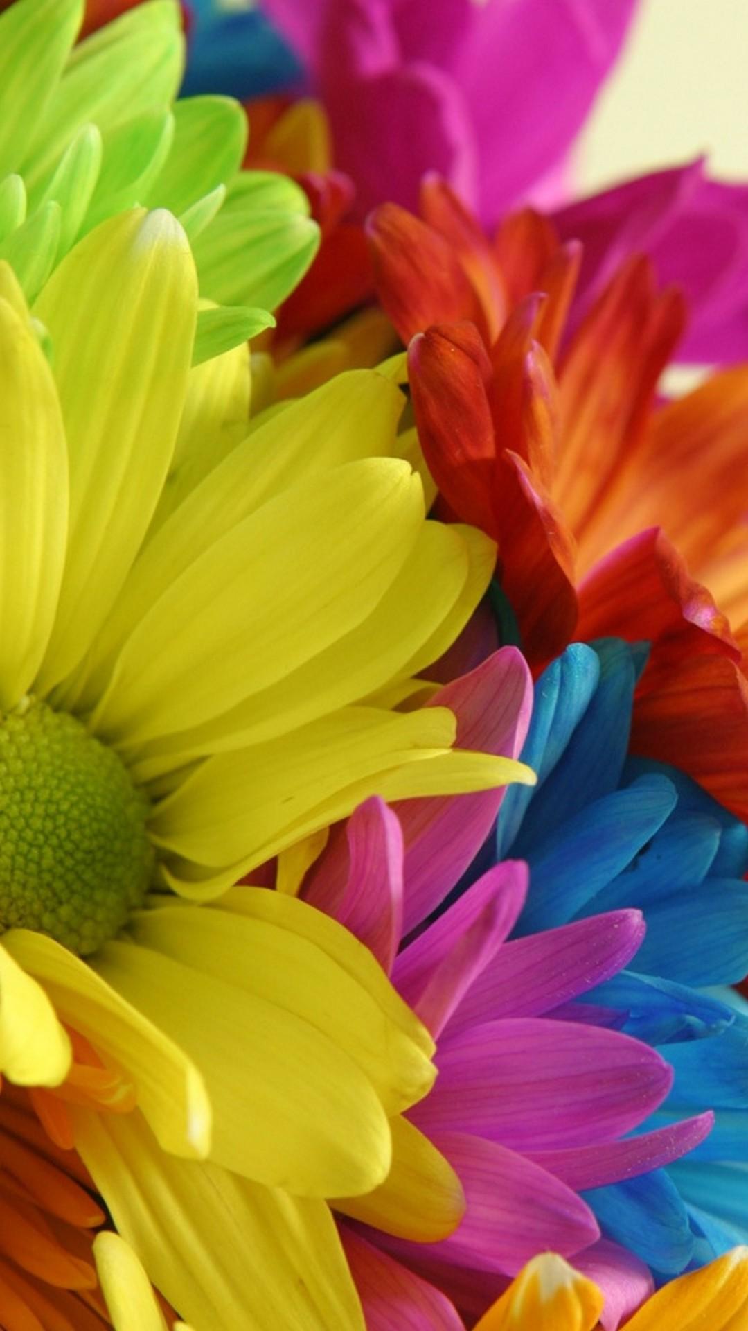 Flower Mobile Full HD Wallpapers Wallpaper Cave