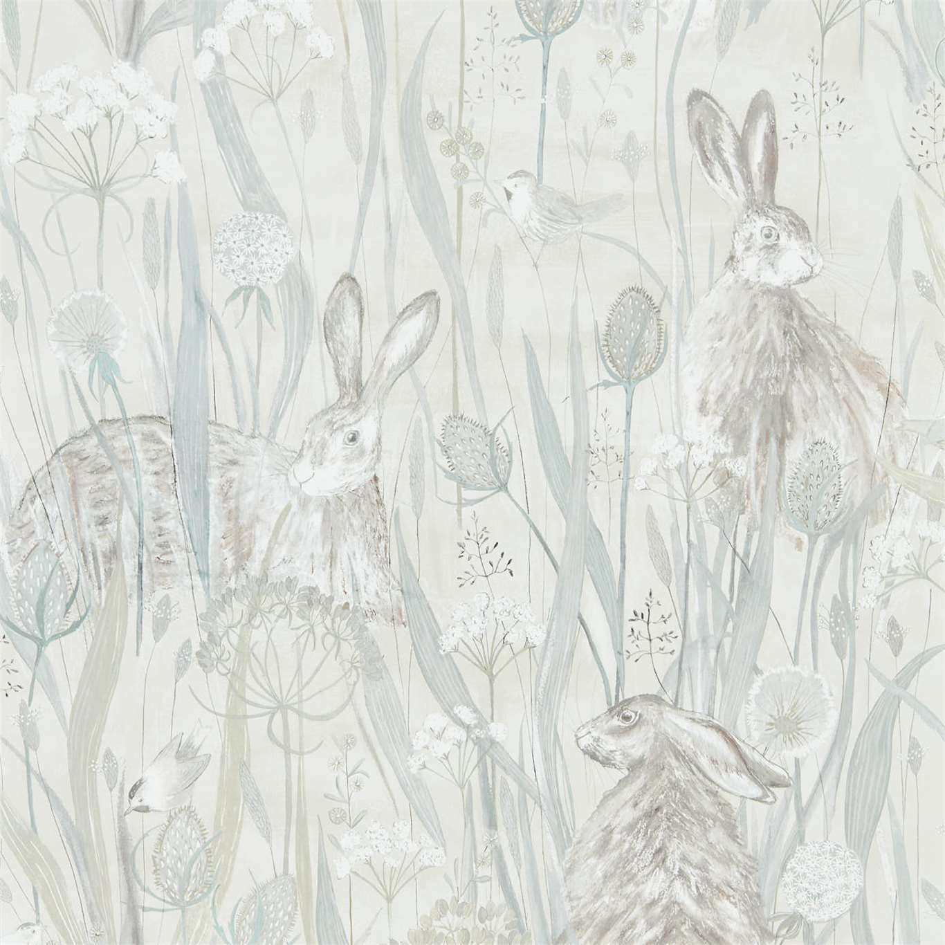 Hares Wallpapers Wallpaper Cave