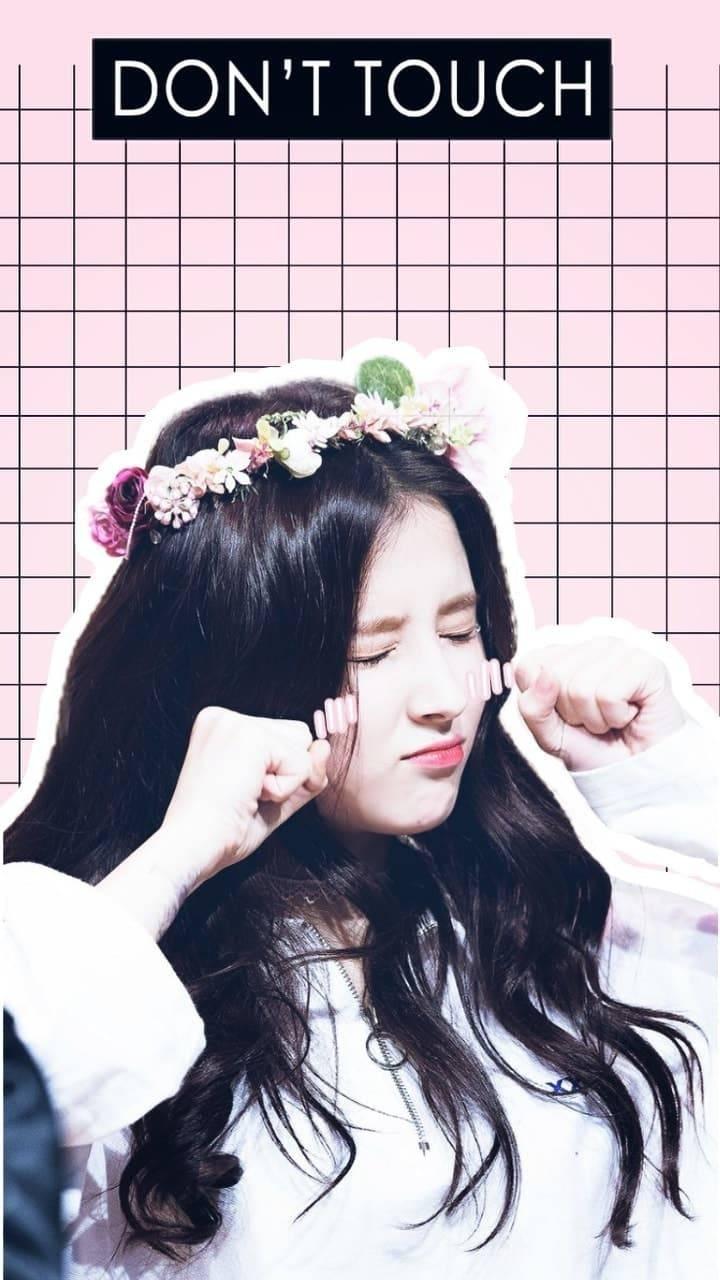 iPhone Nancy Momoland Wallpapers Wallpaper Cave
