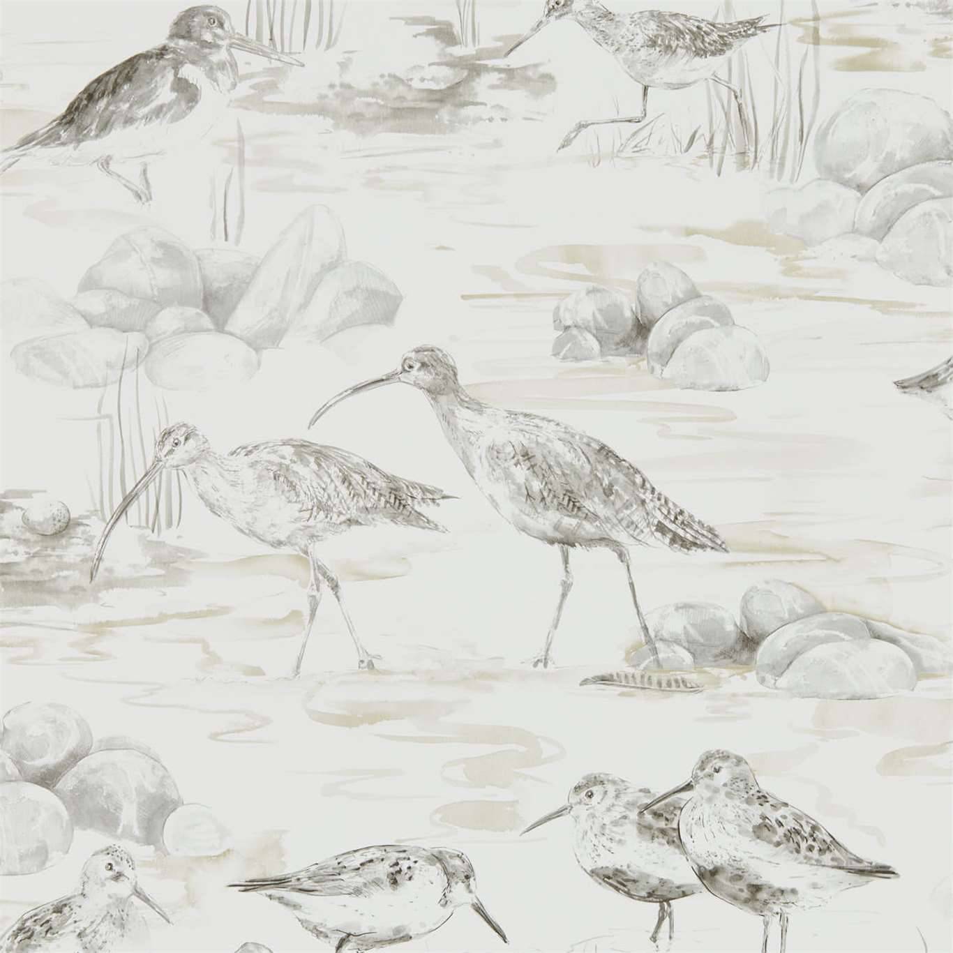 Sandpiper Wallpapers Wallpaper Cave