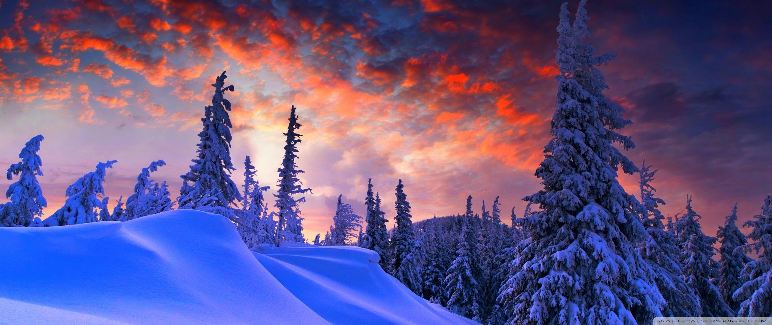 Winter Widescreen Desktop Wallpaper