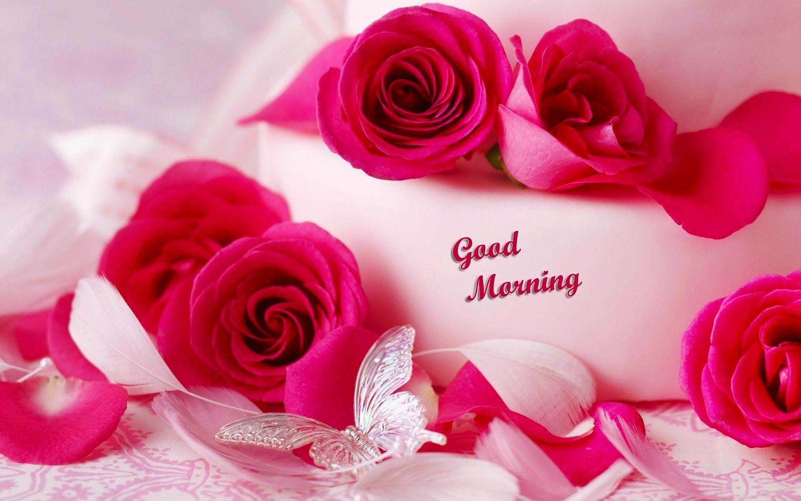 Morning Flower Wallpapers Wallpaper Cave