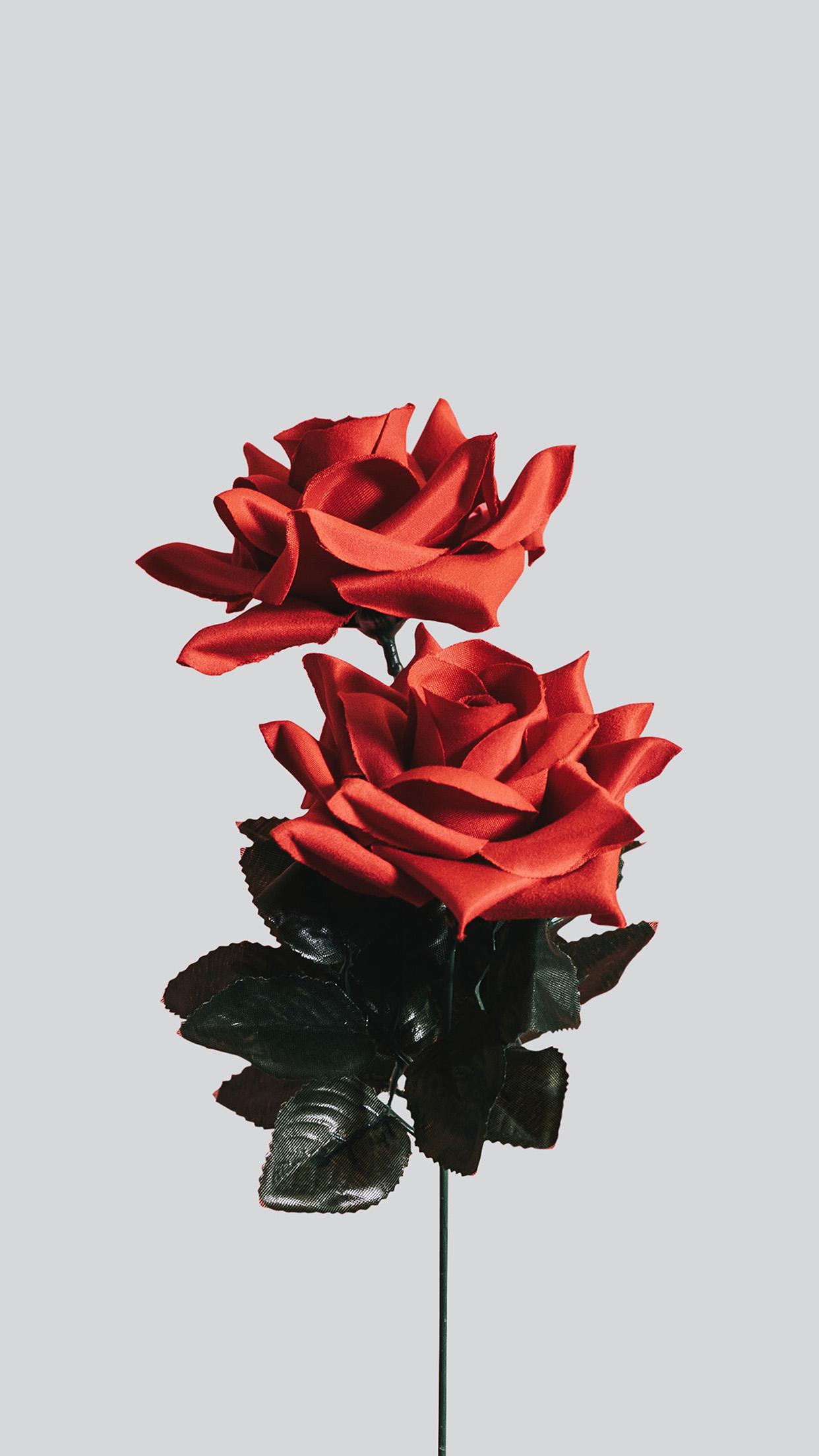 Minimal Flower Wallpapers Wallpaper Cave