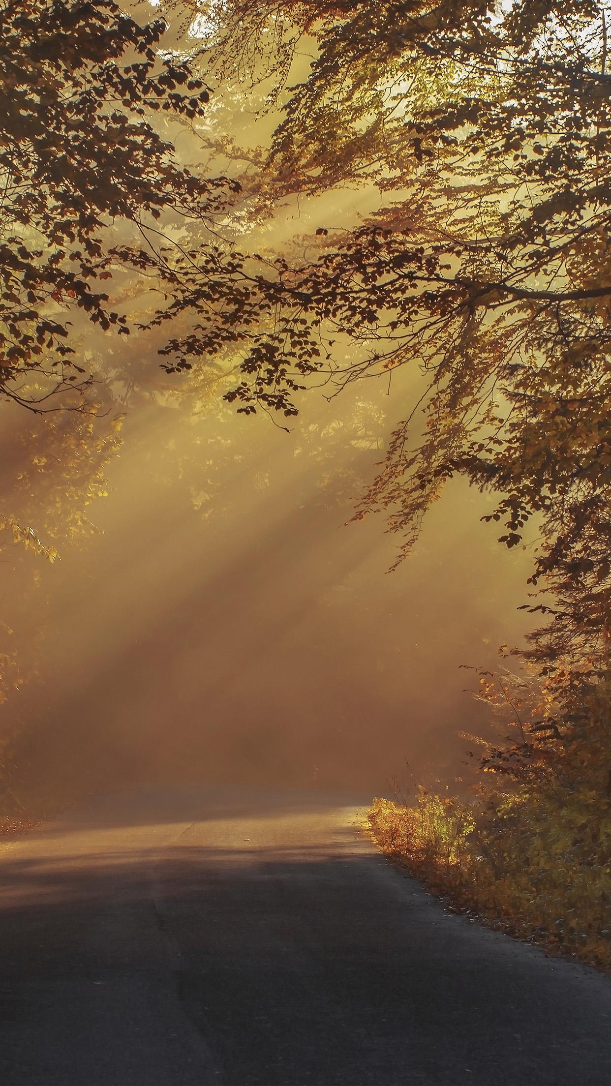 Morning Nature iPhone Wallpapers Wallpaper Cave