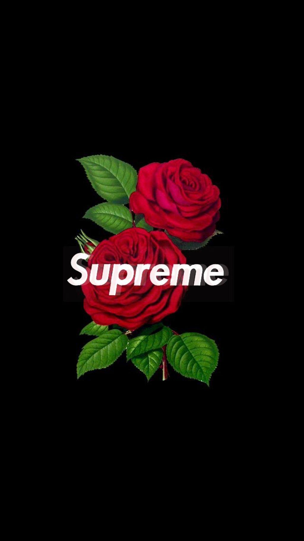 Supreme Roses Wallpapers Wallpaper Cave