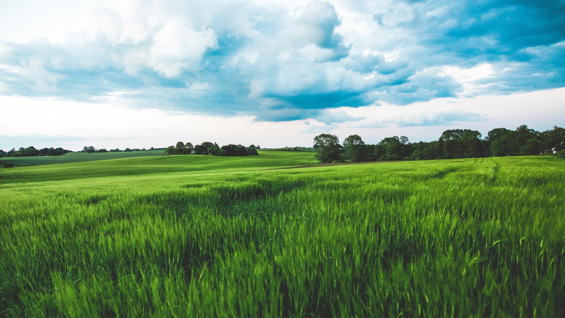 Aesthetic Field Wallpapers Wallpaper Cave