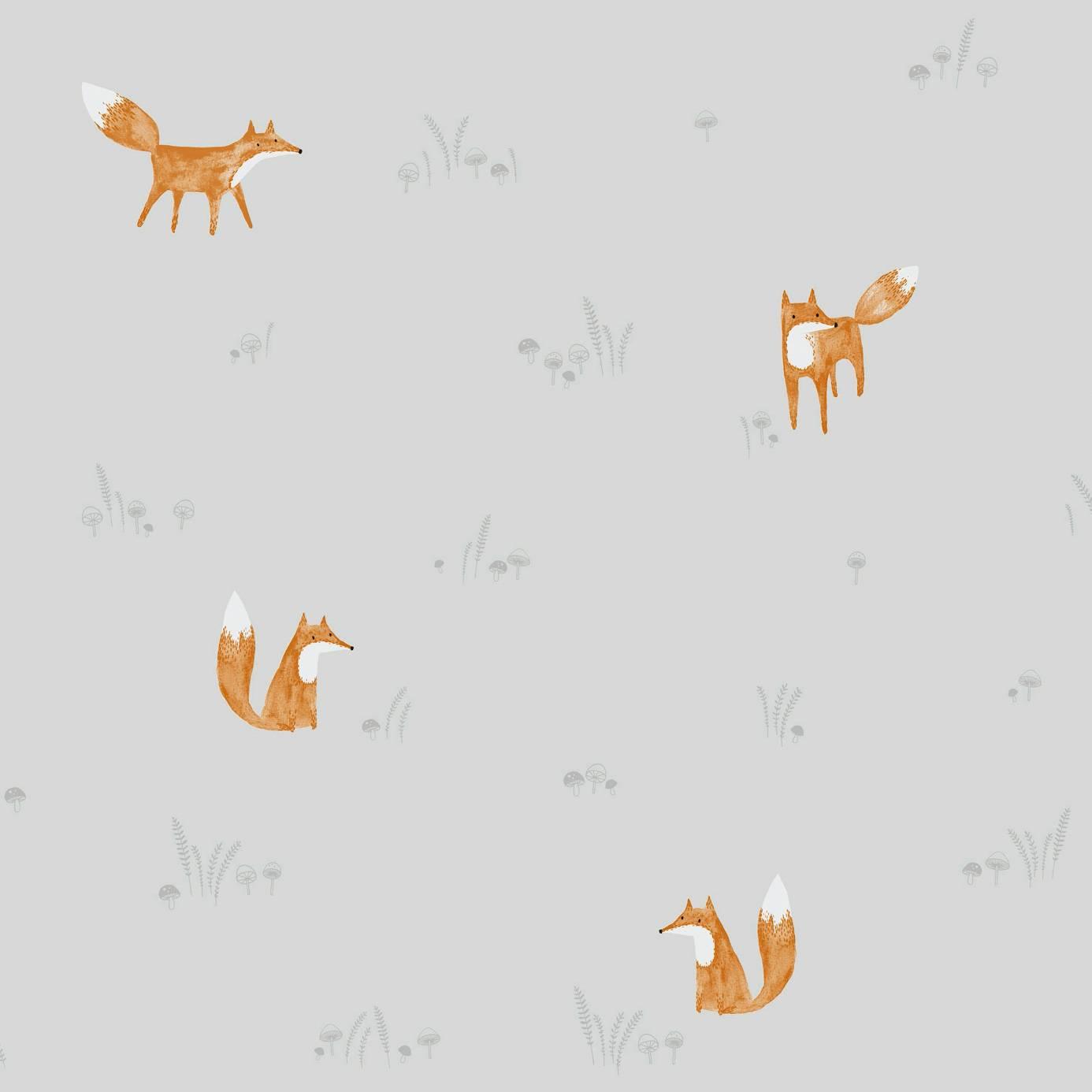 Little Fox Wallpapers Wallpaper Cave