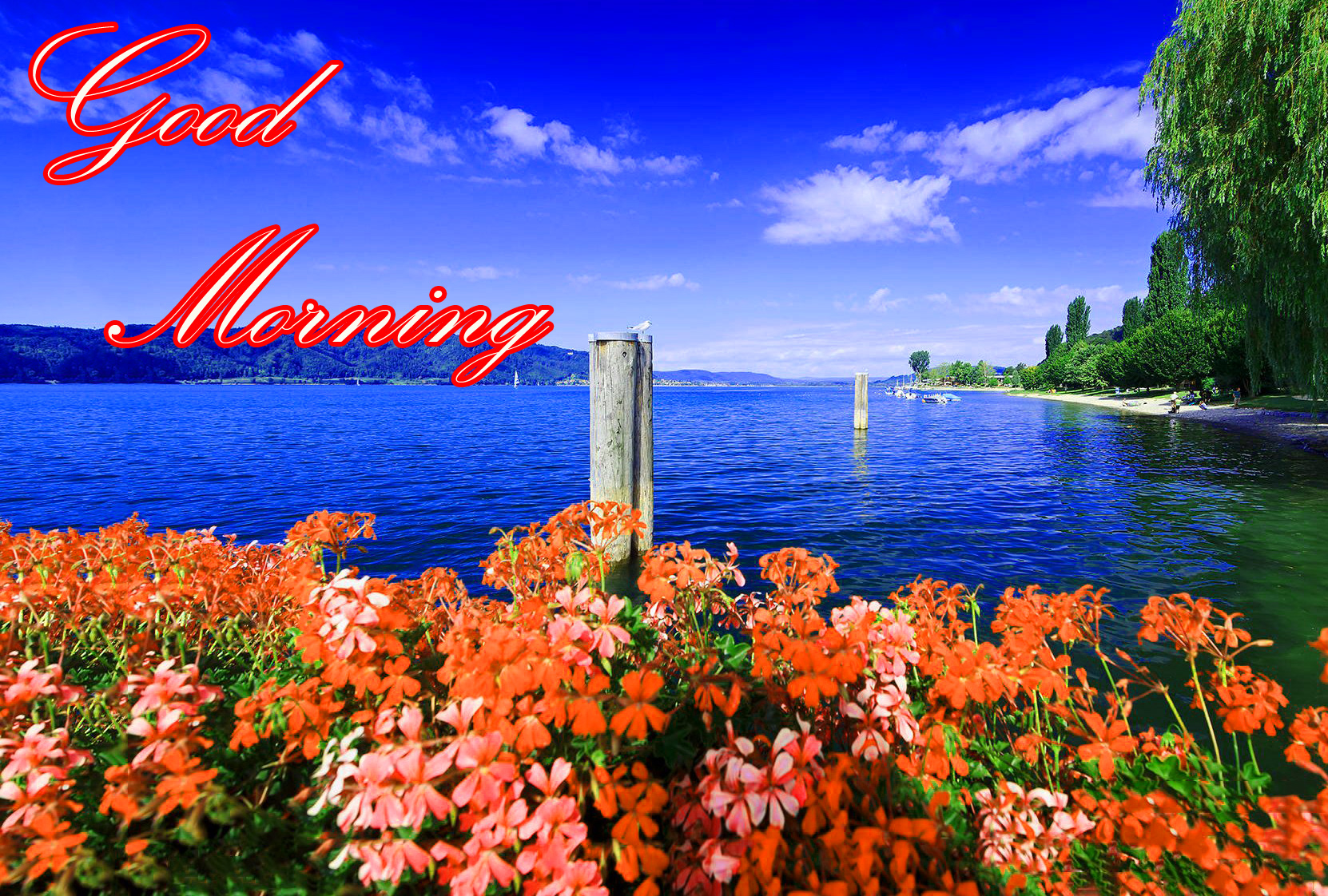 Good Morning 3D Wallpapers Wallpaper Cave