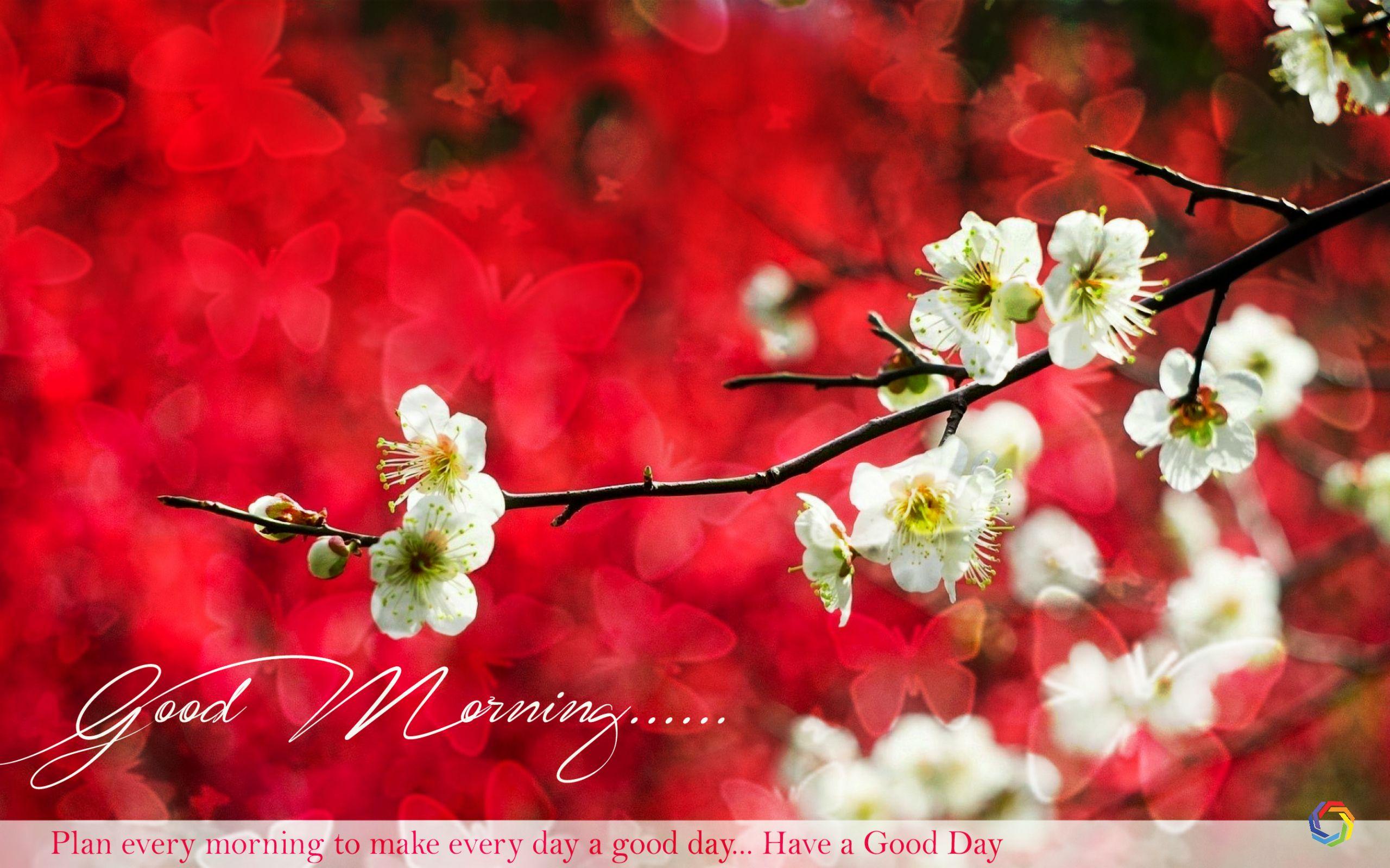 Good Morning Free Scenery Wallpapers Wallpaper Cave