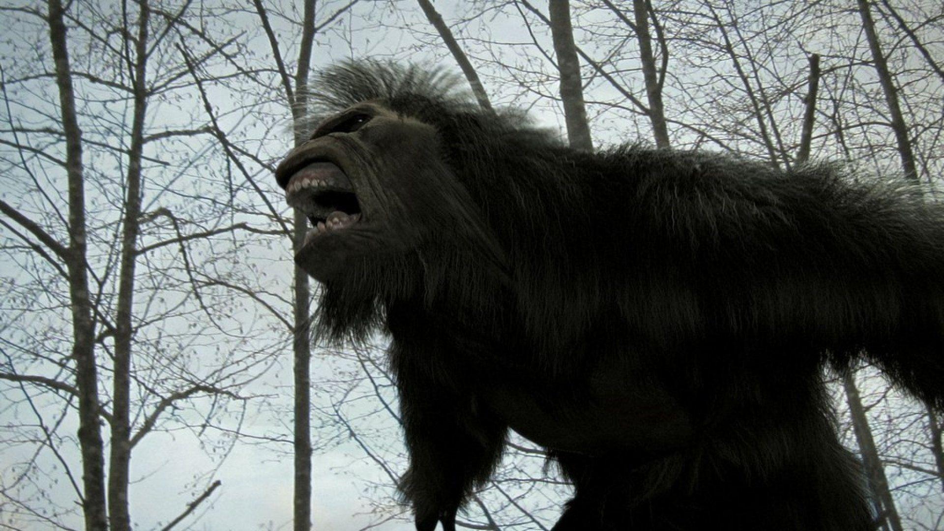 Bigfoot Computer Wallpapers Wallpaper Cave