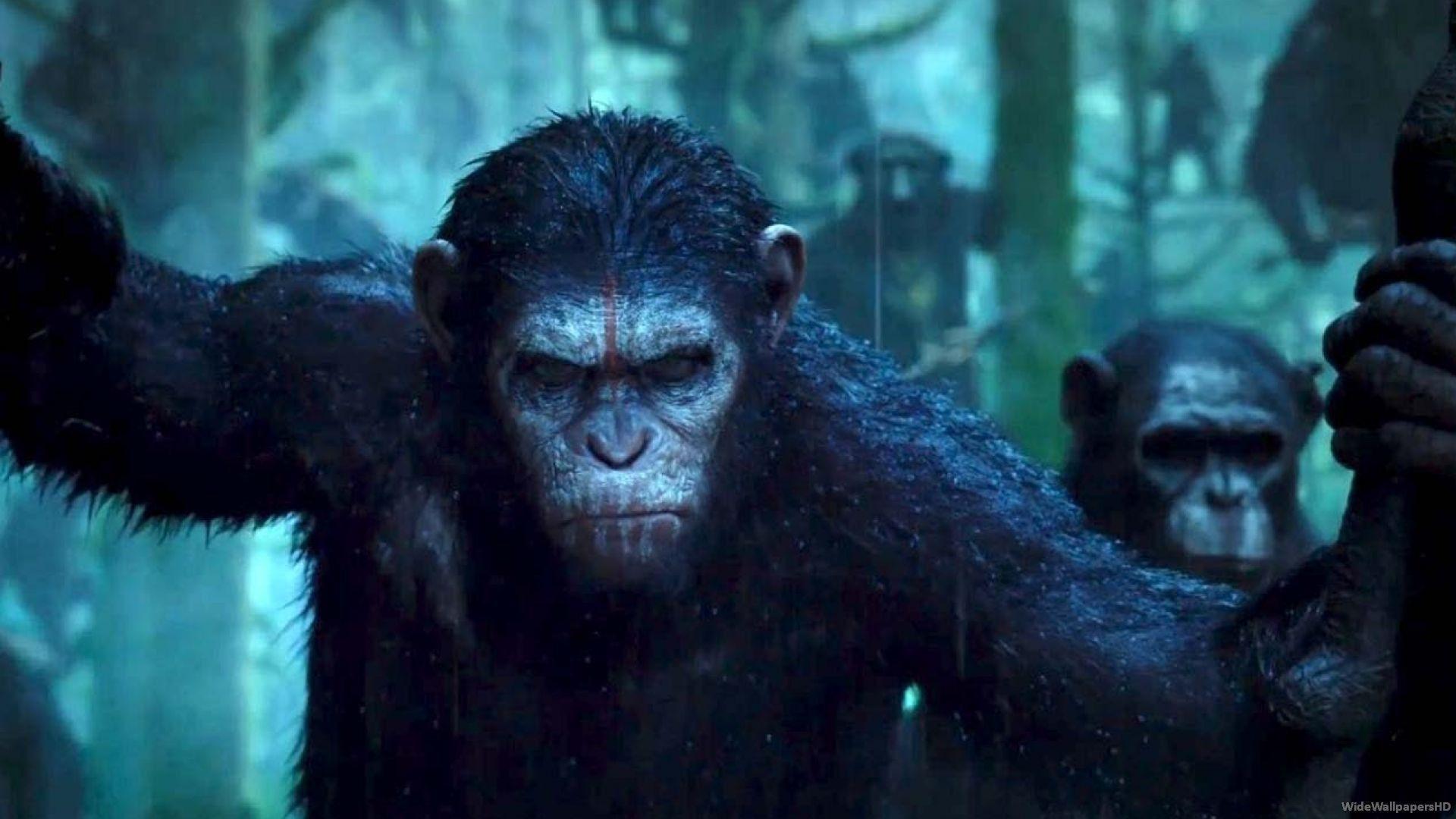 Dawn Of The Of The Apes Wallpapers Wallpaper Cave