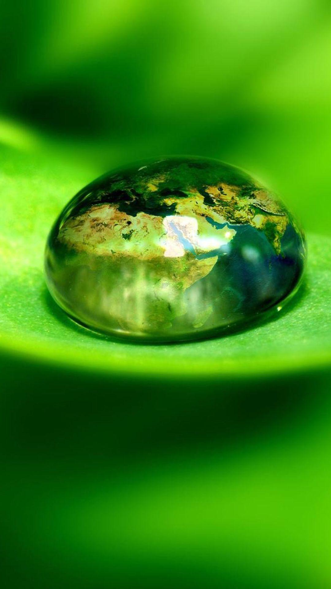 Green Hd Mobile Wallpapers Wallpaper Cave