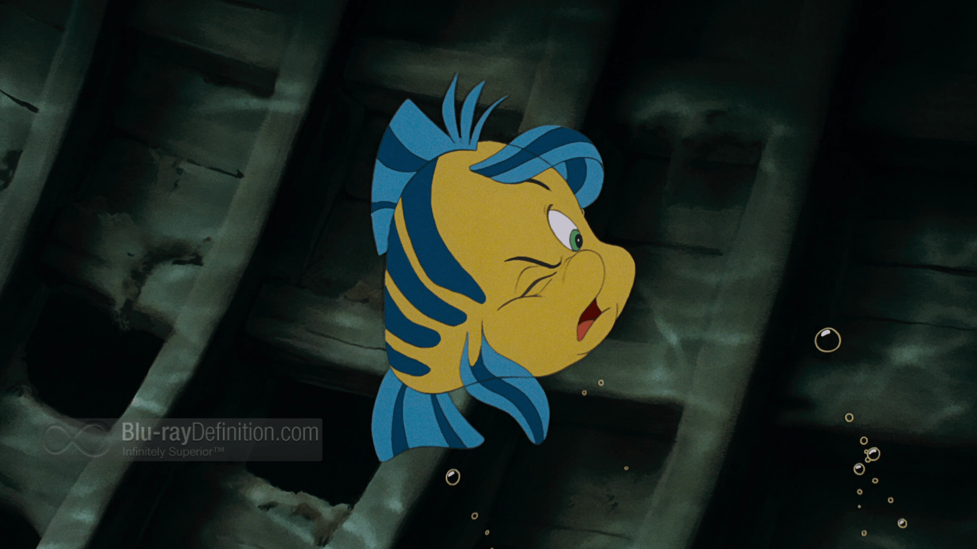 Flounder Wallpapers Wallpaper Cave