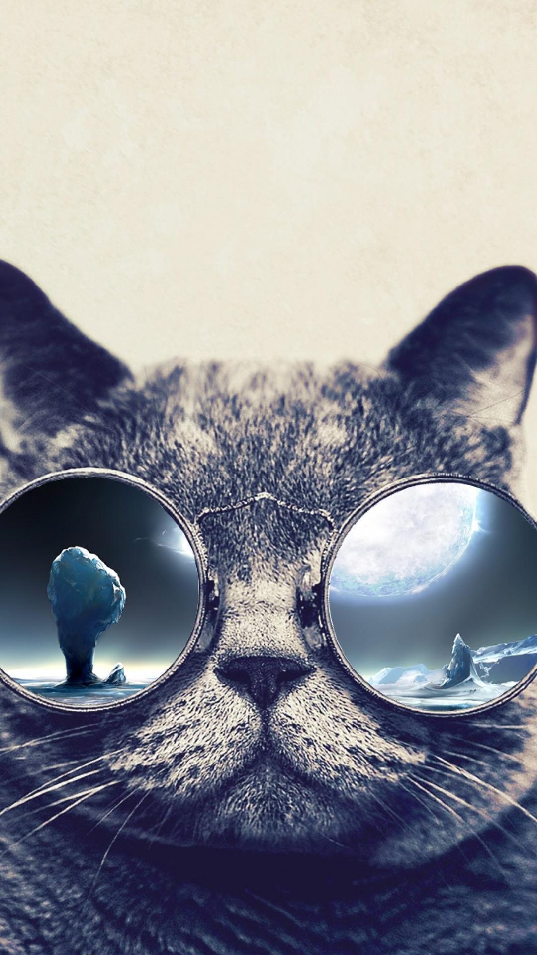 Cat Hd iPhone Wallpapers Wallpaper Cave