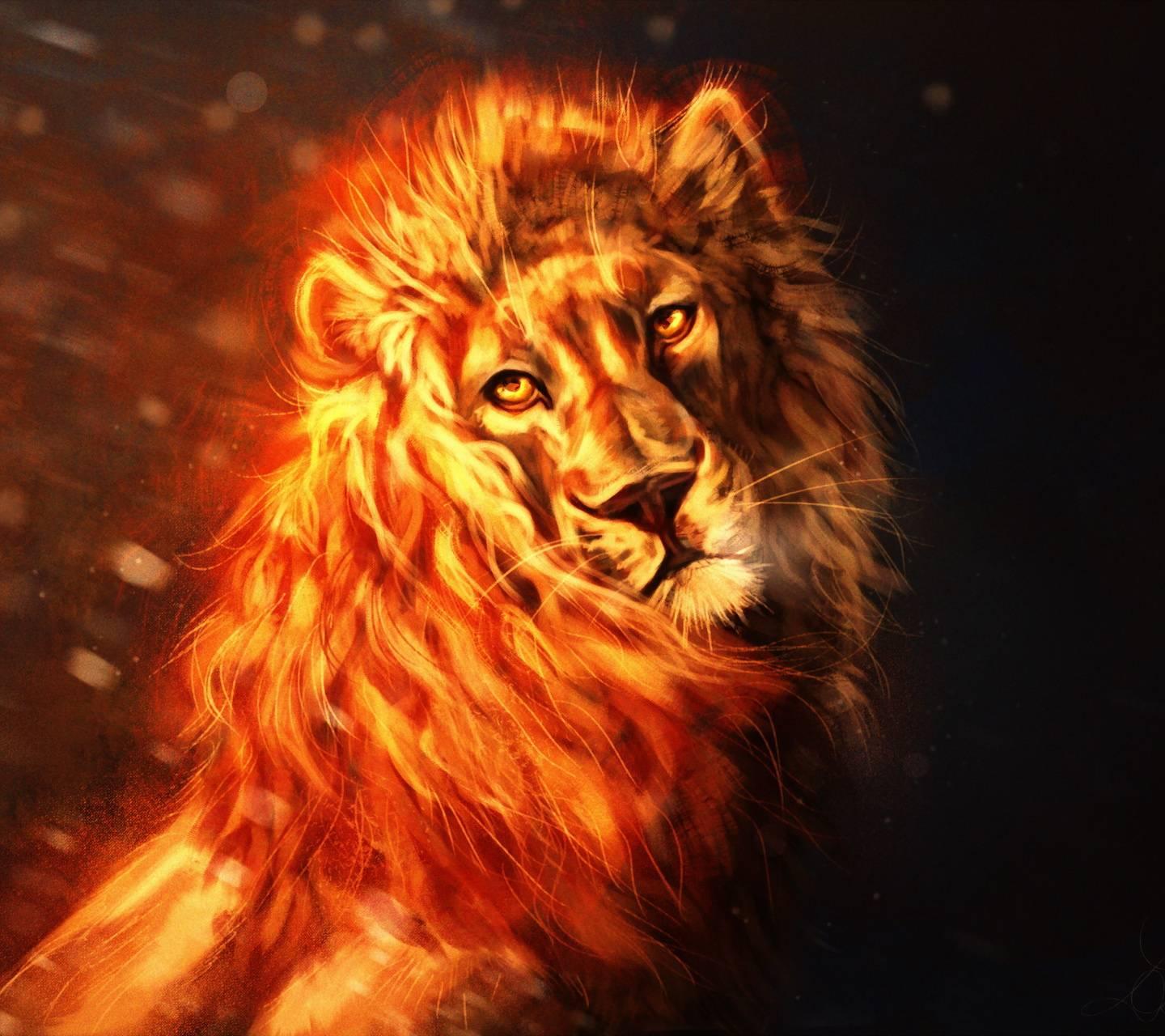 Lion On Fire Wallpapers Wallpaper Cave