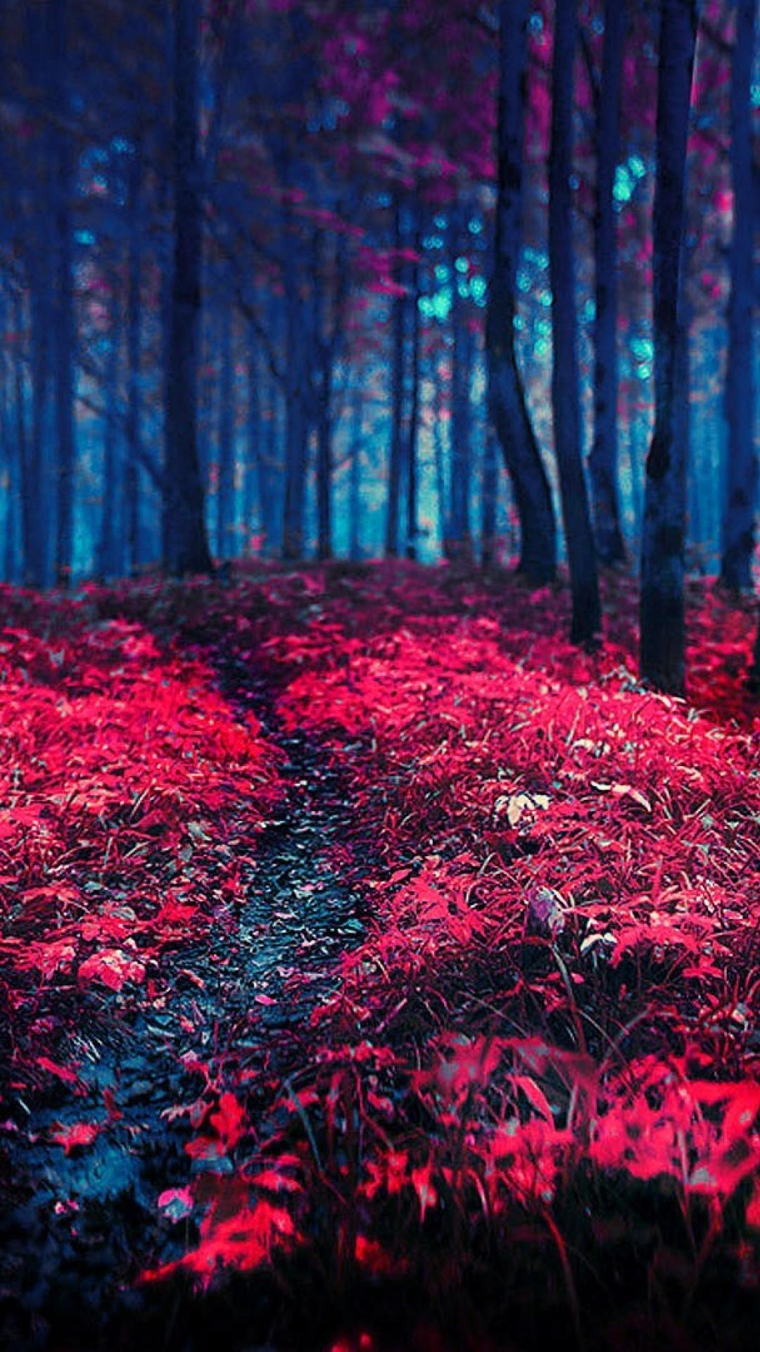 Red Nature Mobile Wallpapers Wallpaper Cave