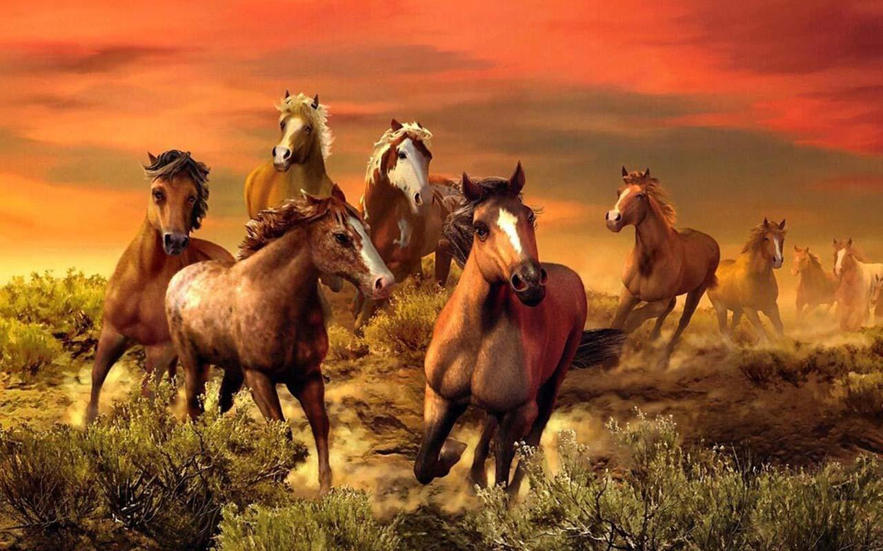 7horse Running Wallpapers Wallpaper Cave