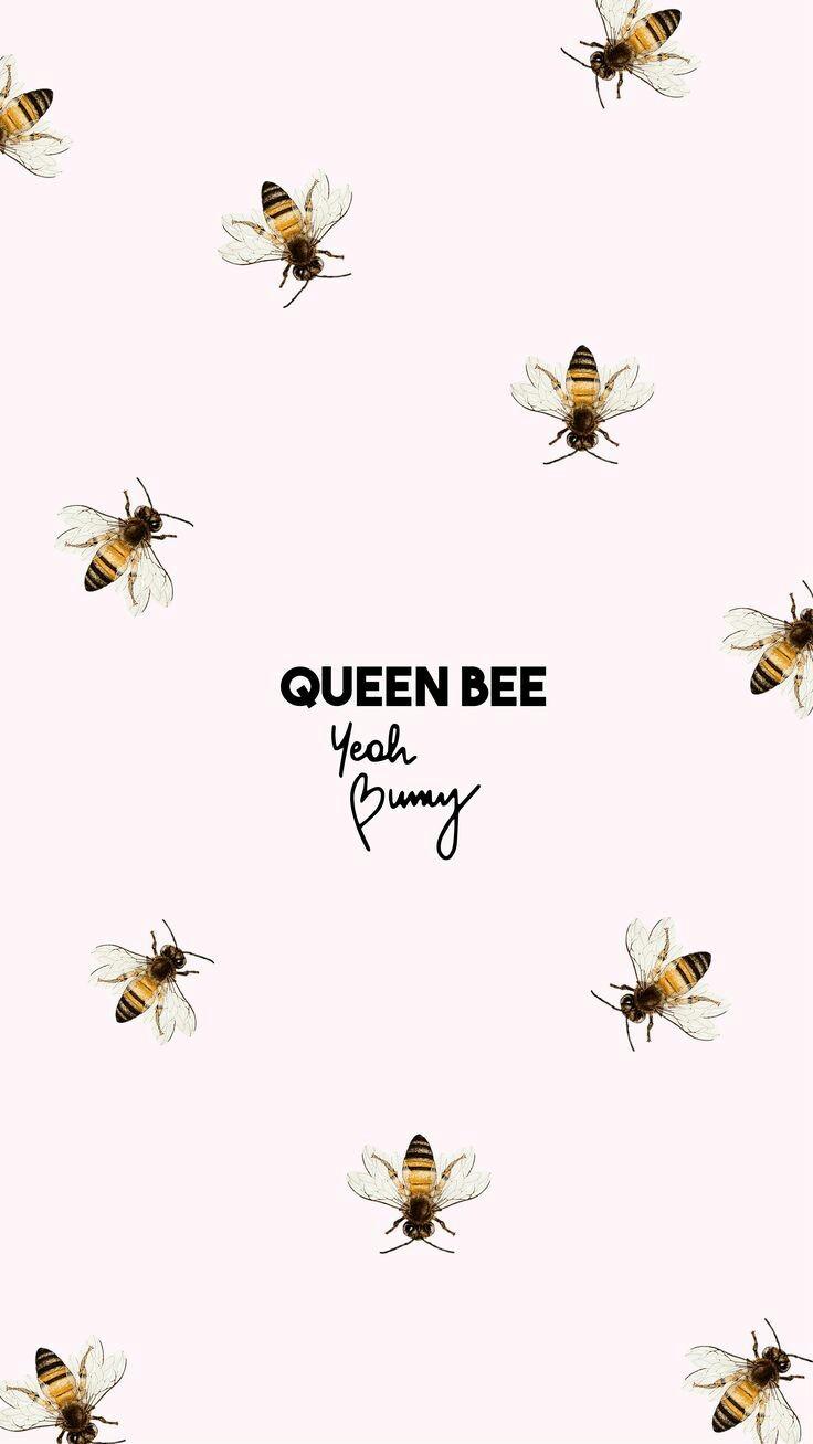 Queen Bee Wallpapers Wallpaper Cave