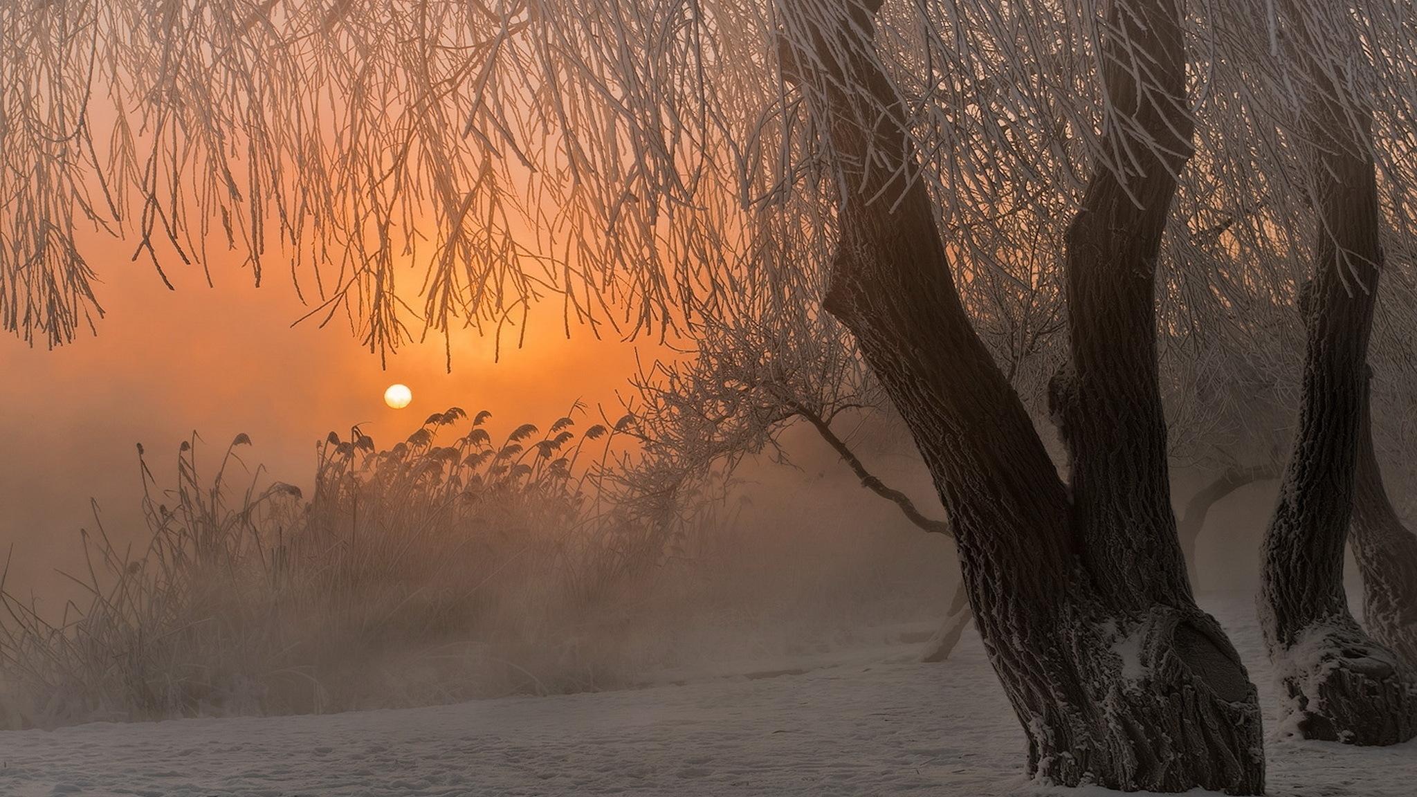 Frosty Morning Wallpapers Wallpaper Cave