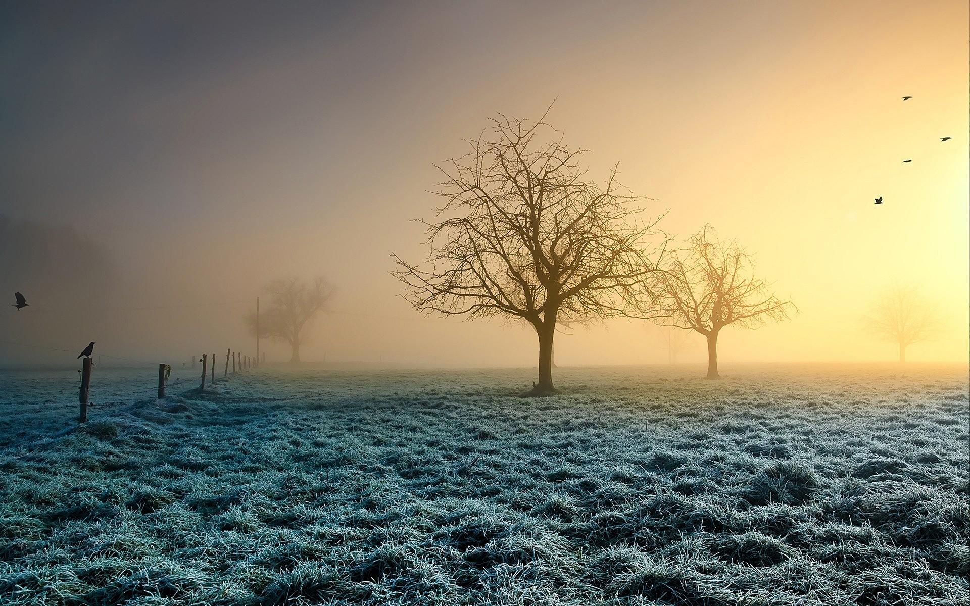Frosty Morning Wallpapers Wallpaper Cave