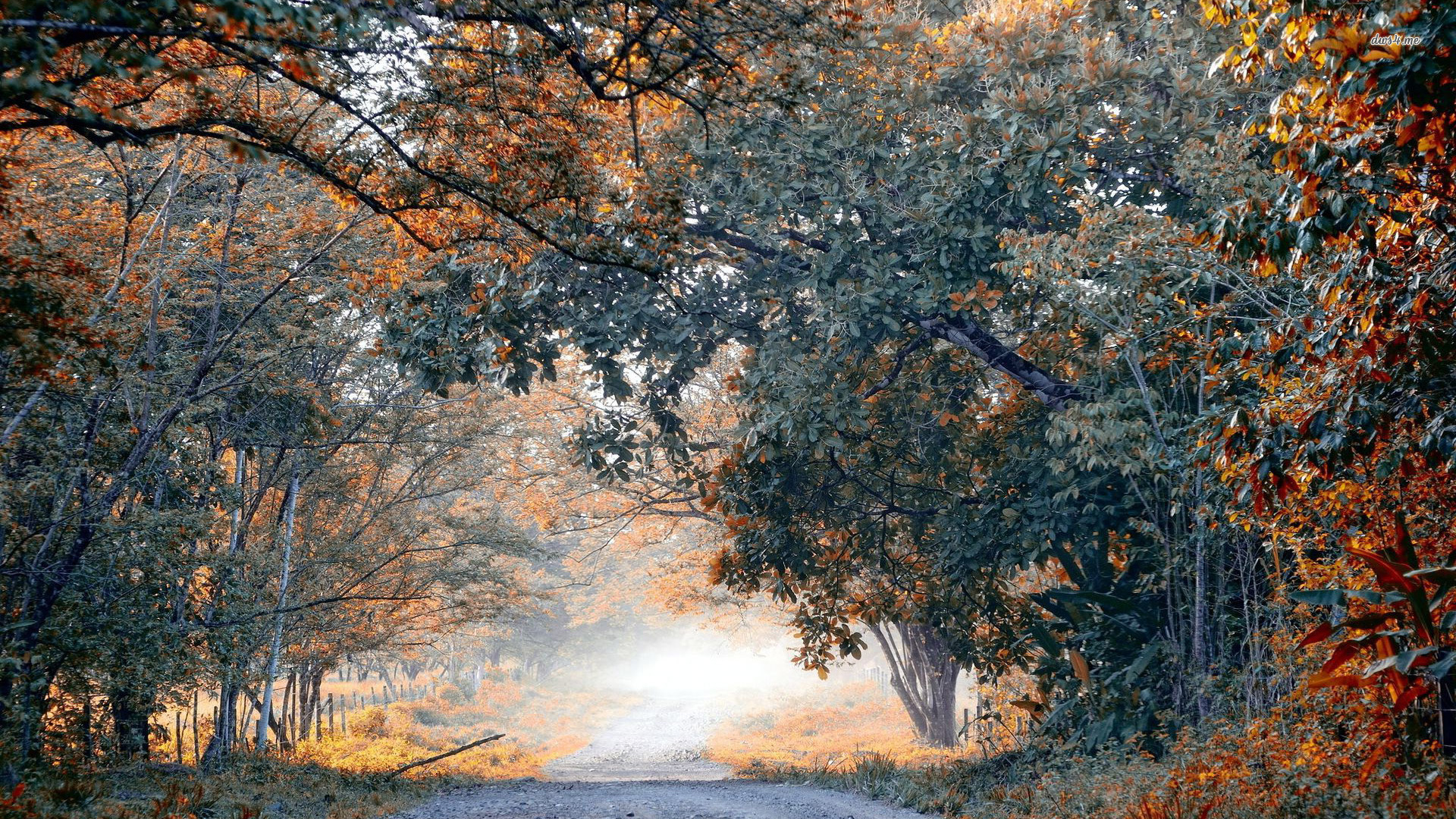Frosty Morning Wallpapers Wallpaper Cave