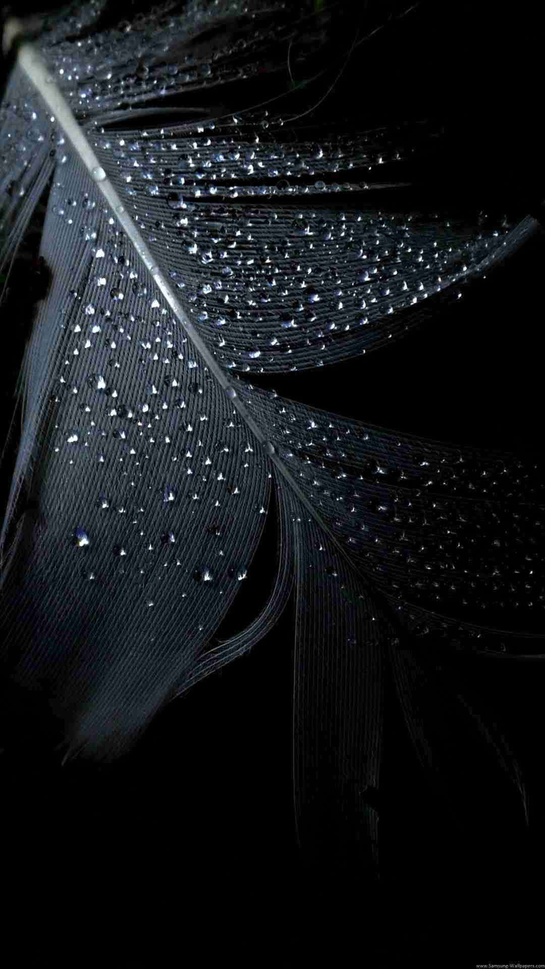 iPhone Hd 1080p Wallpapers Wallpaper Cave