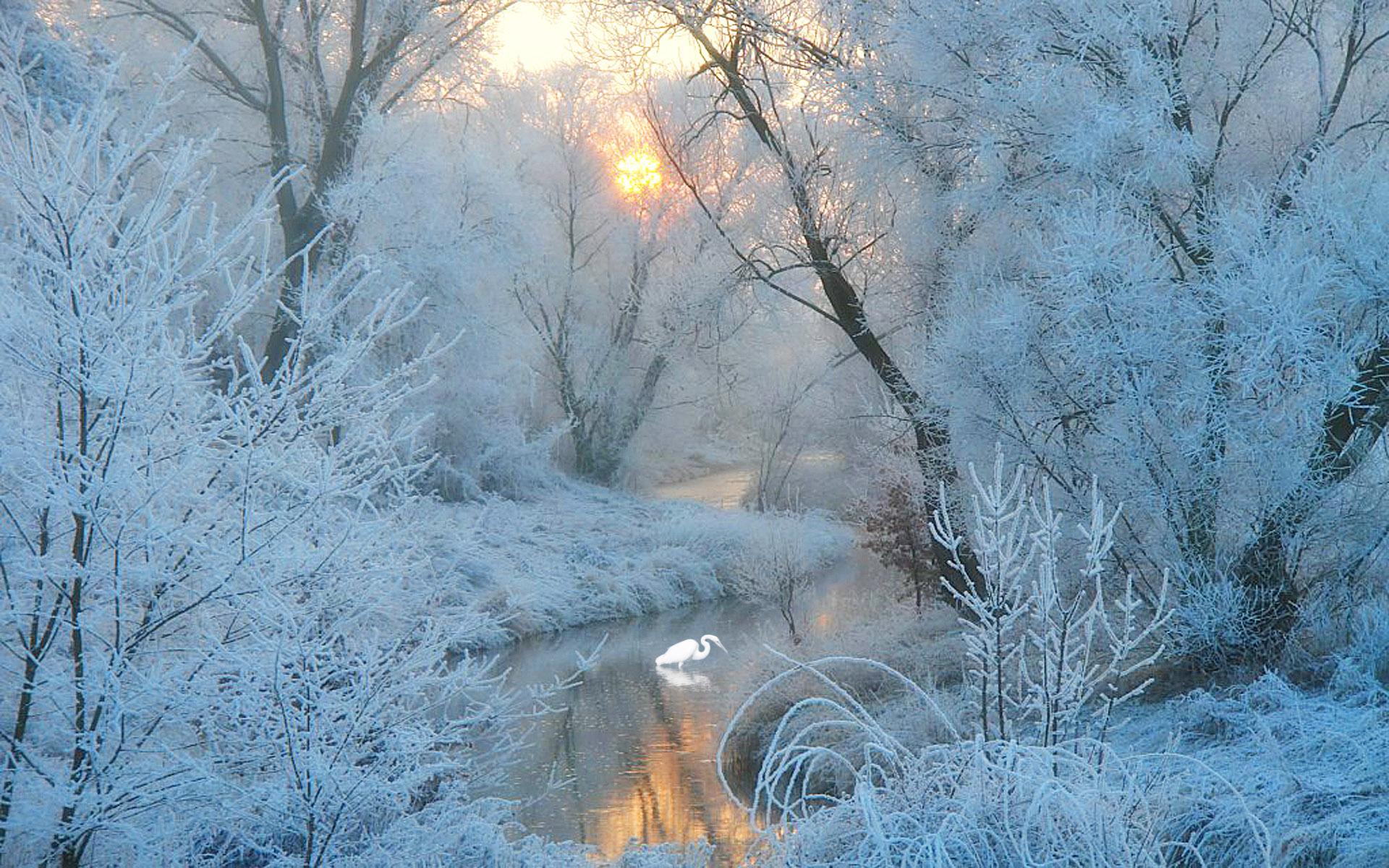Frosty Autumn Wallpapers Wallpaper Cave