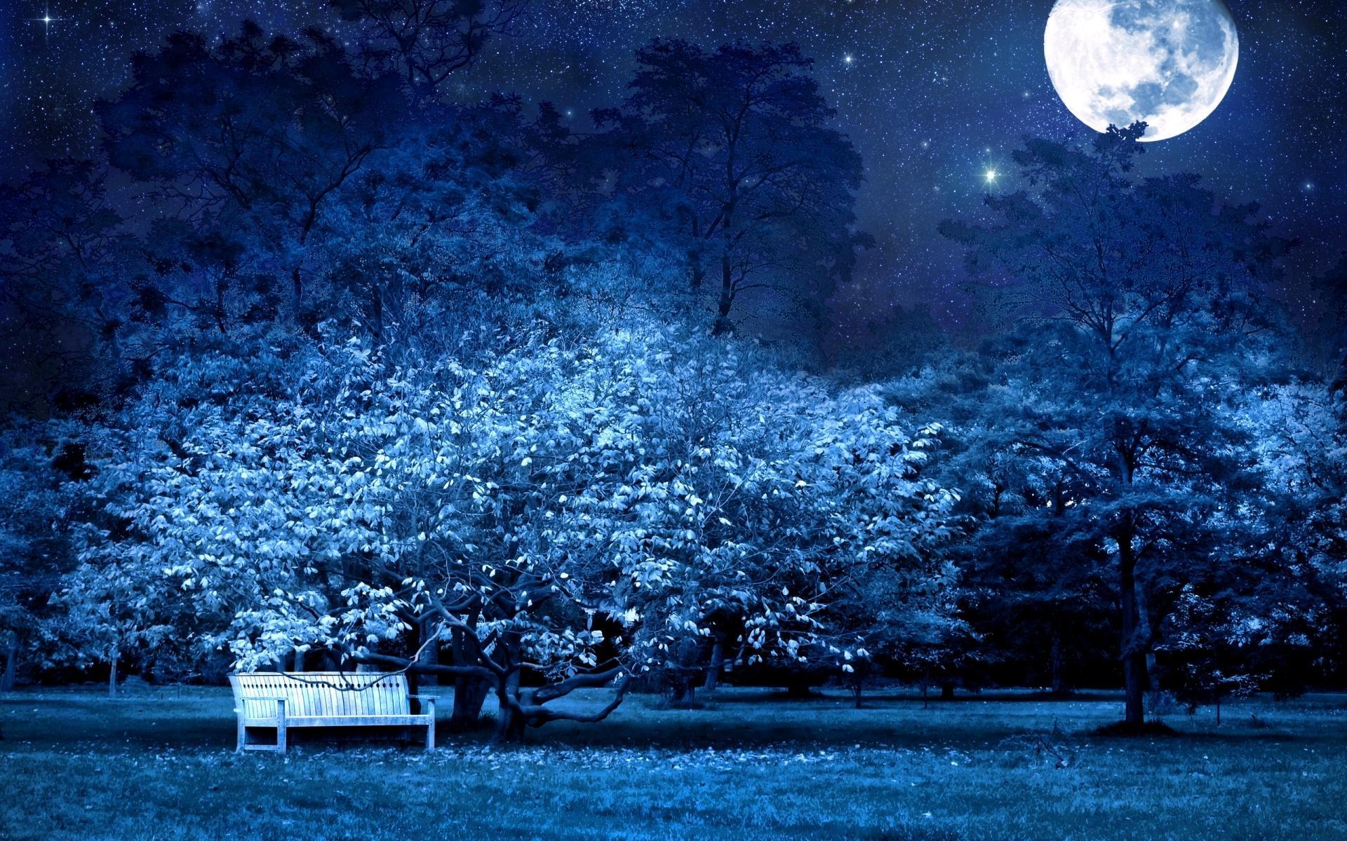 Blue Night Wallpapers Wallpaper Cave