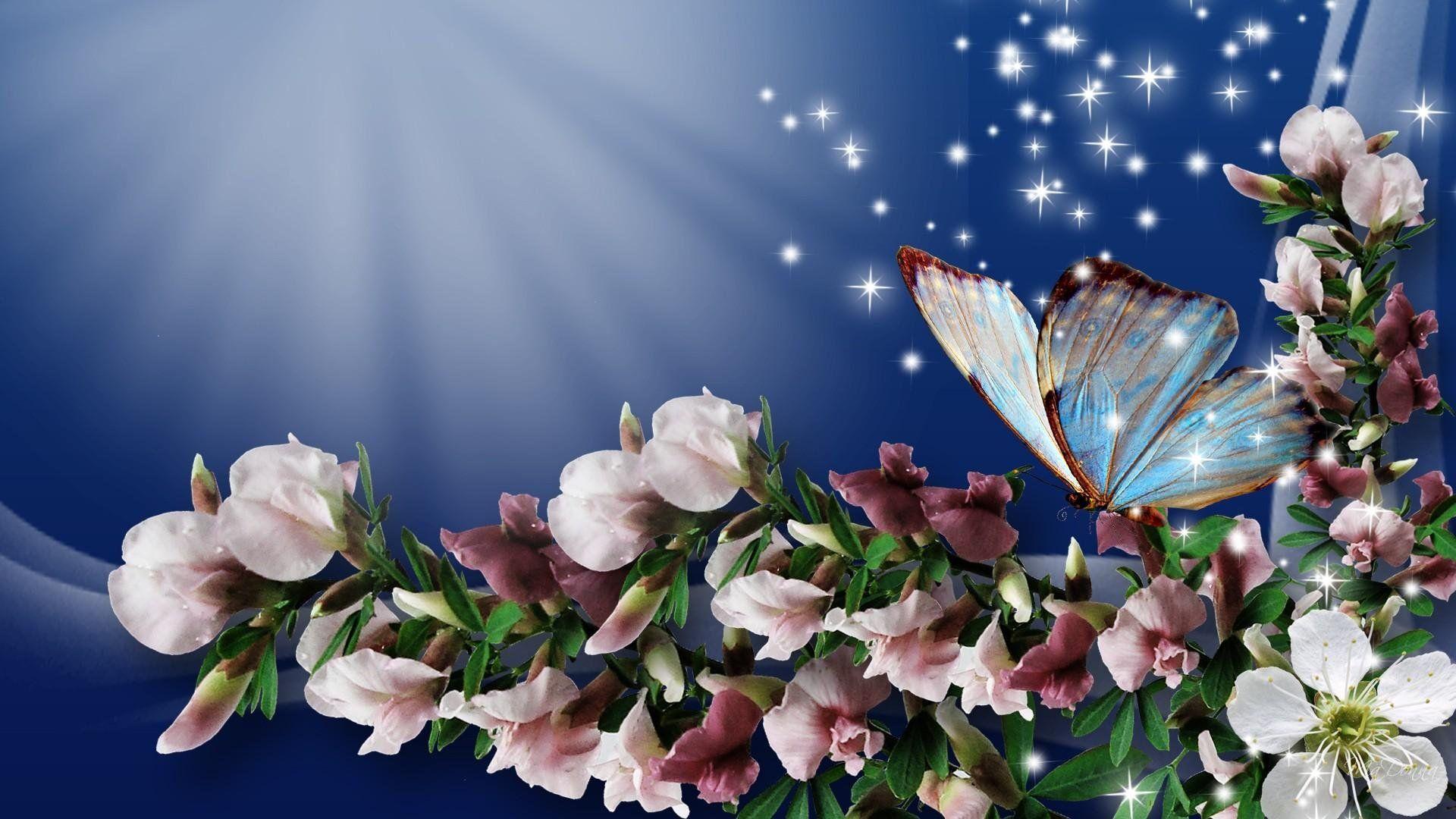 Butterfly Spring Wallpapers Wallpaper Cave