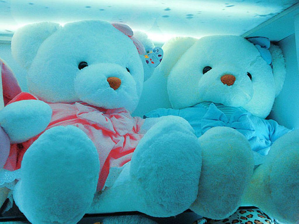 Blue Teddy Wallpapers Wallpaper Cave