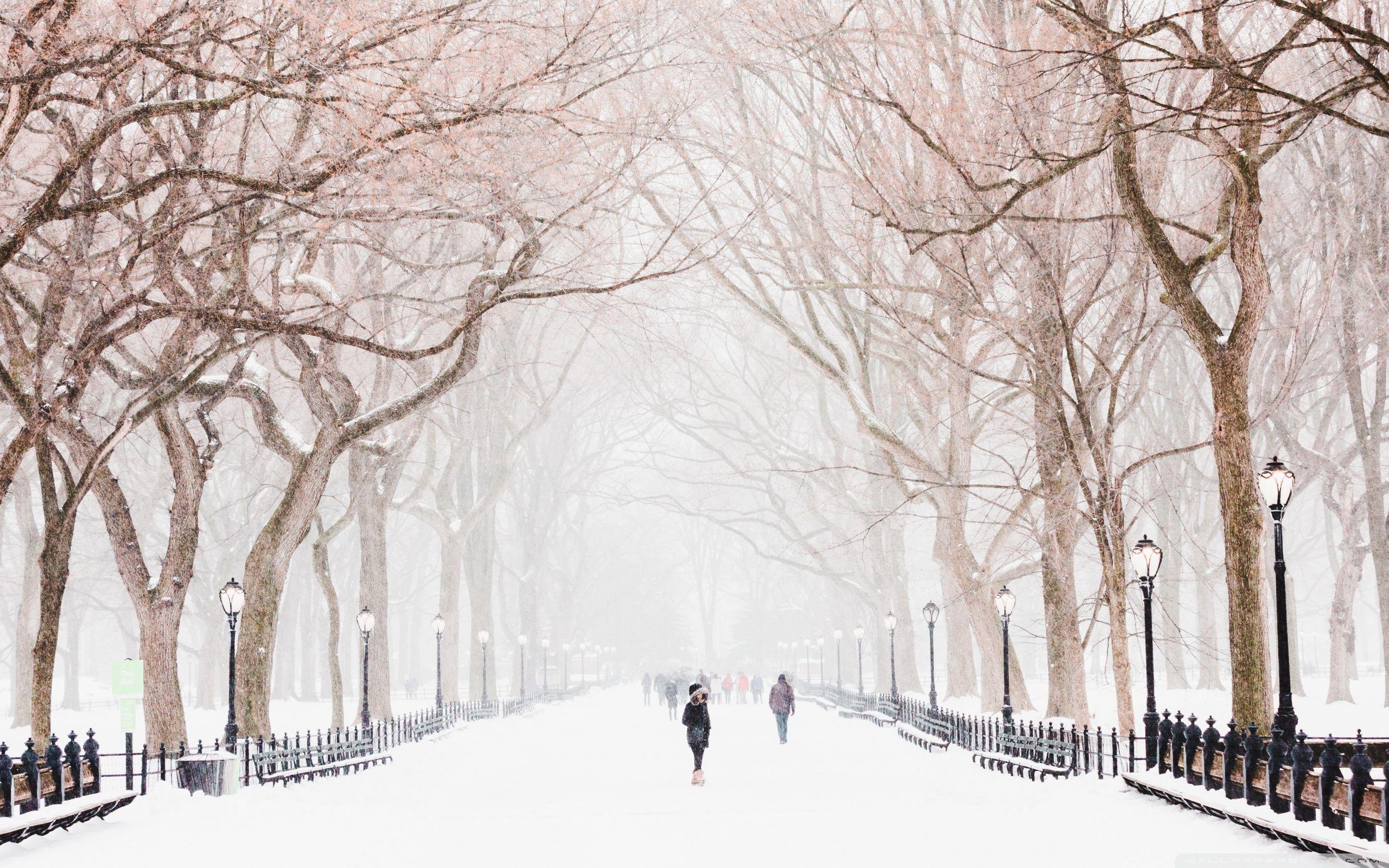 Central Park Winter Scenes Wallpapers Wallpaper Cave