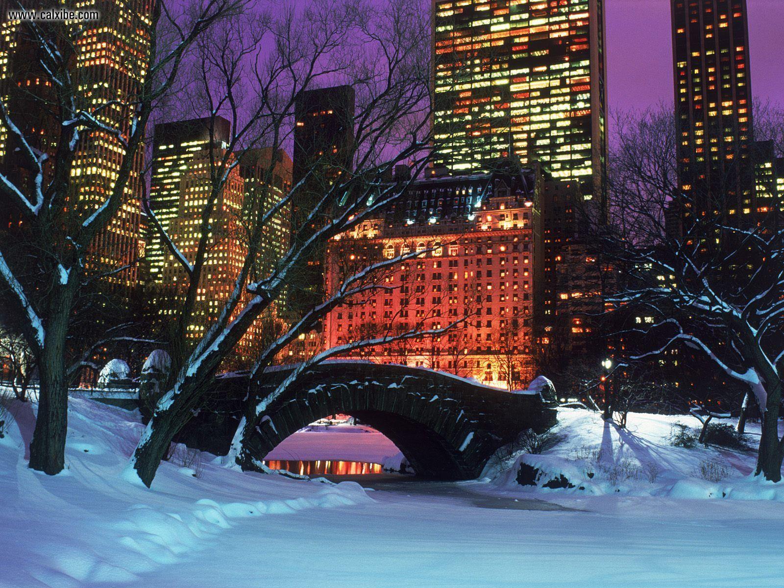 Central Park Winter Scenes Wallpapers Wallpaper Cave