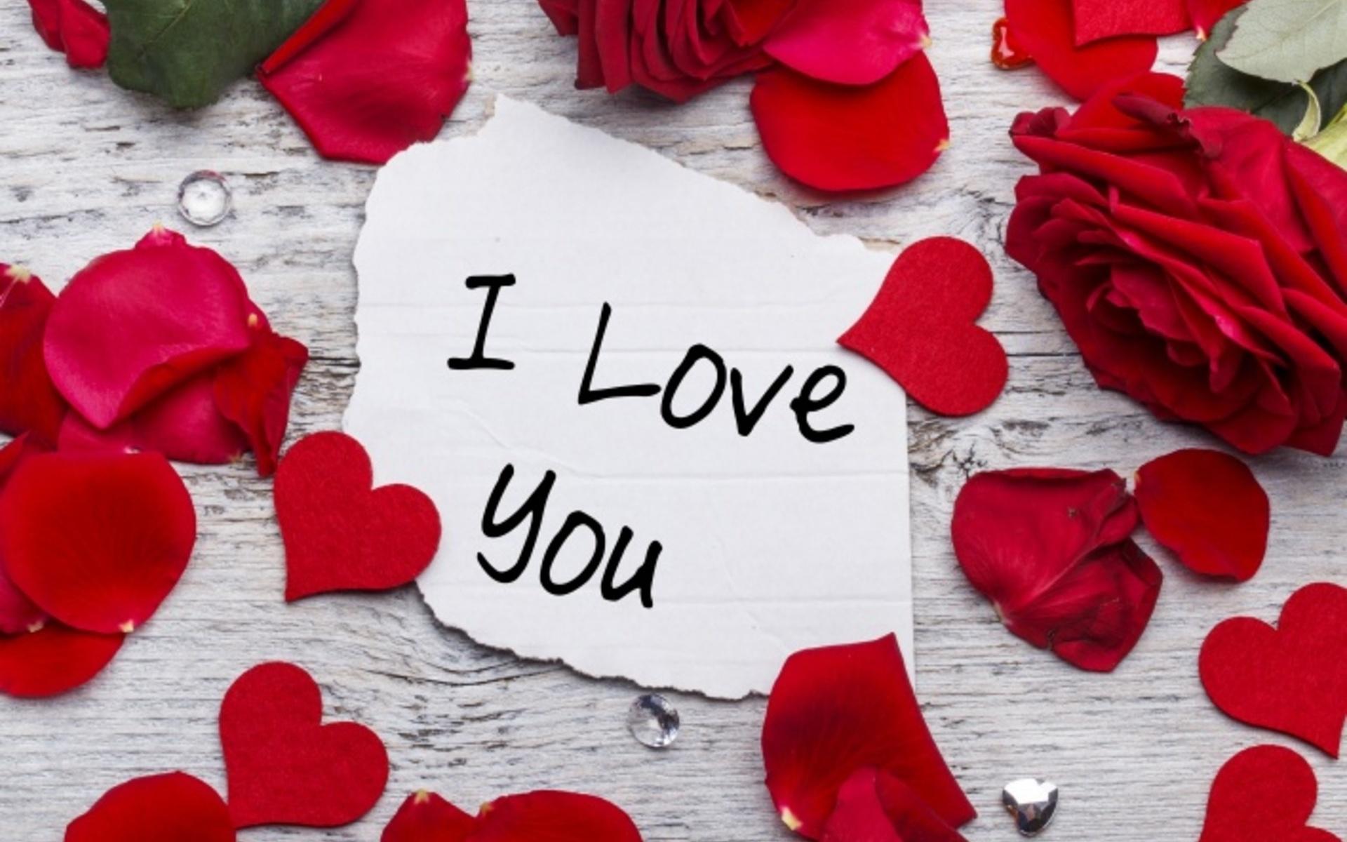 I Love You HD Wallpapers Wallpaper Cave