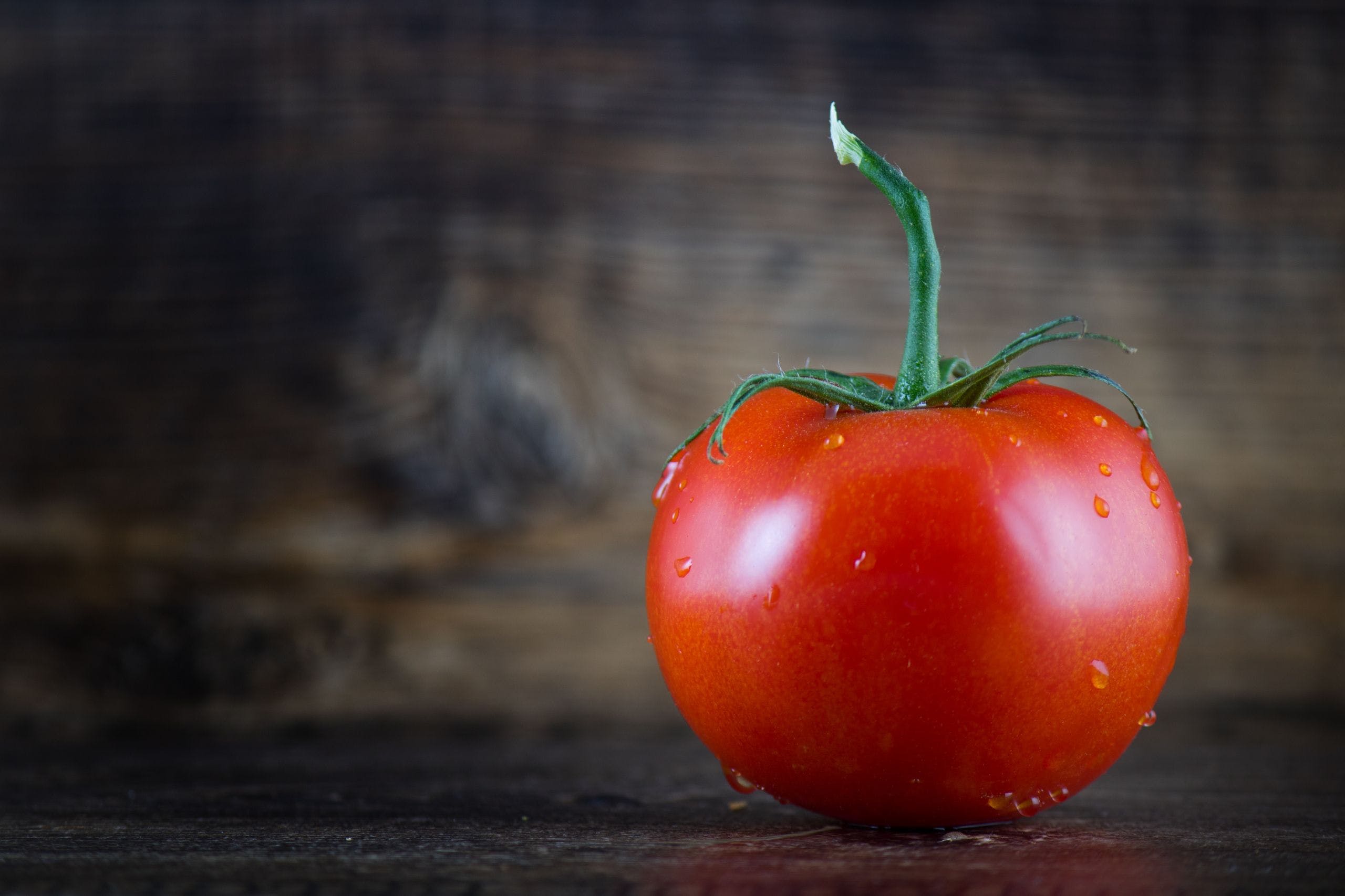 Tomatoes HD Wallpapers Wallpaper Cave