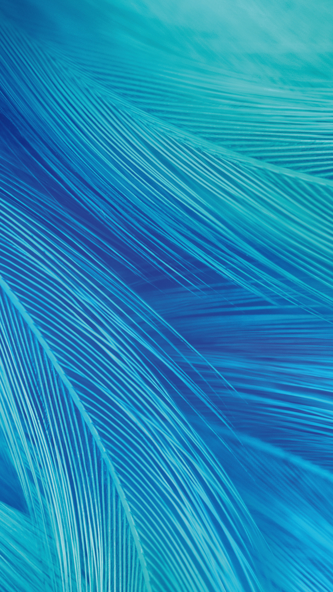 Anime Vivo Z1 Pro Wallpapers Wallpaper Cave