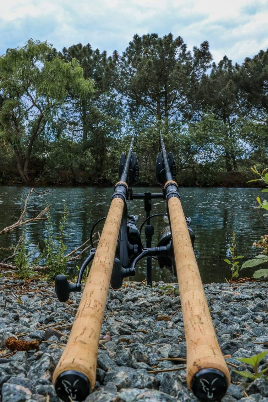 Aggregate 57+ fishing wallpaper for phone super hot in.cdgdbentre