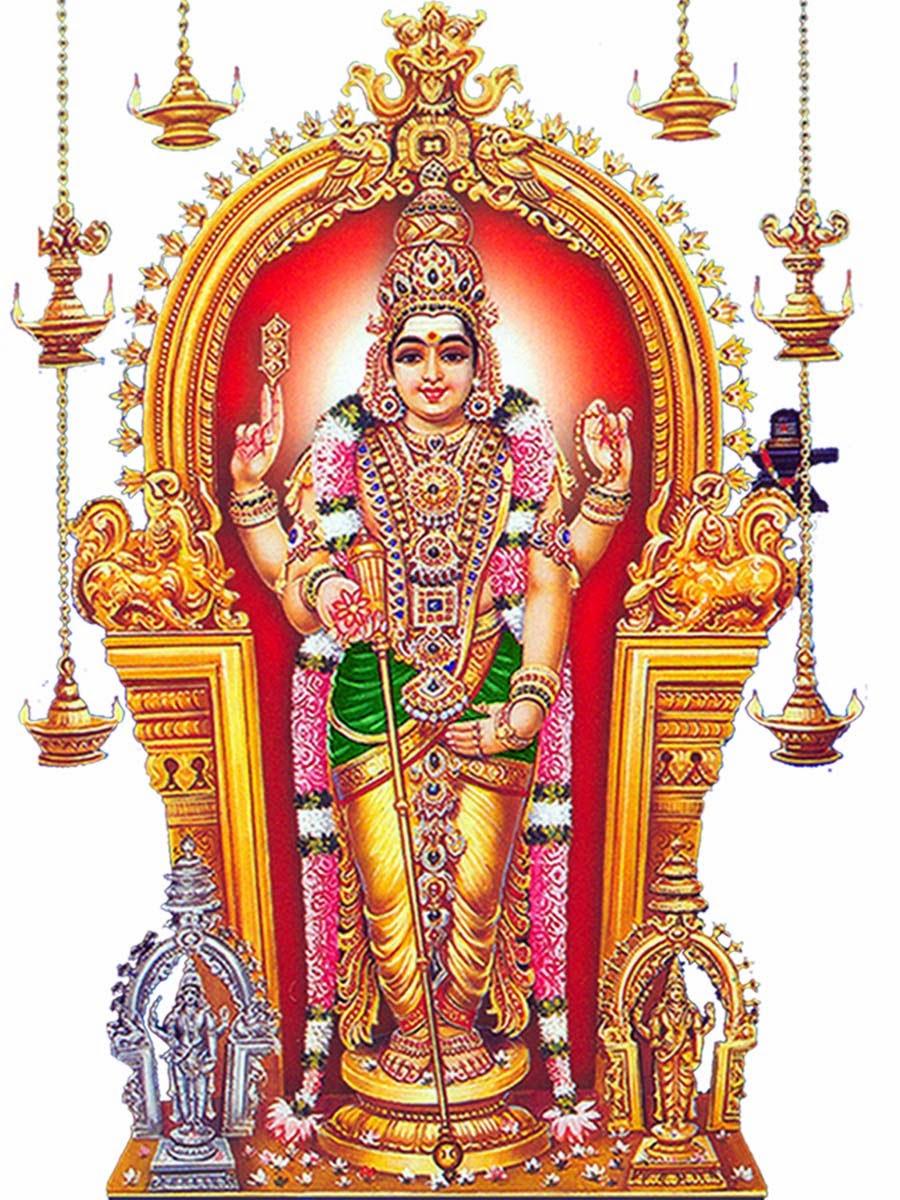 Palani Murugan Wallpapers Wallpaper Cave