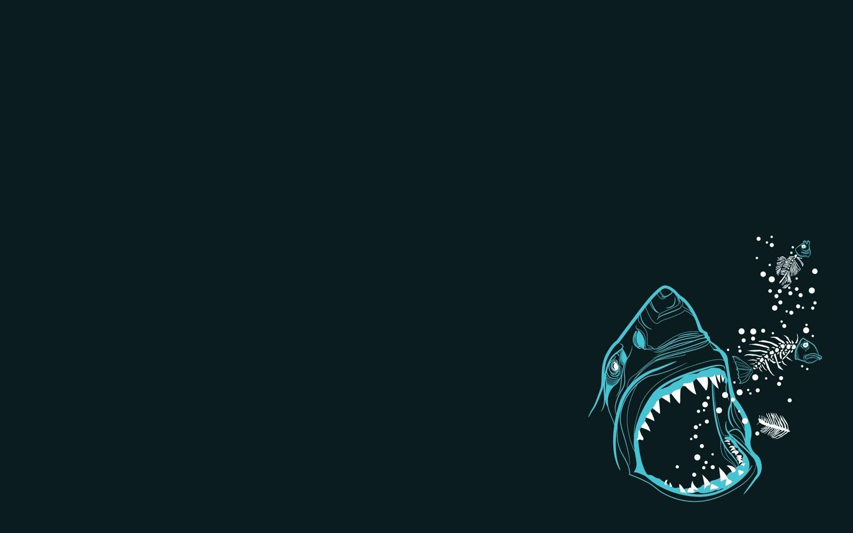 Cool Shark Wallpapers Wallpaper Cave