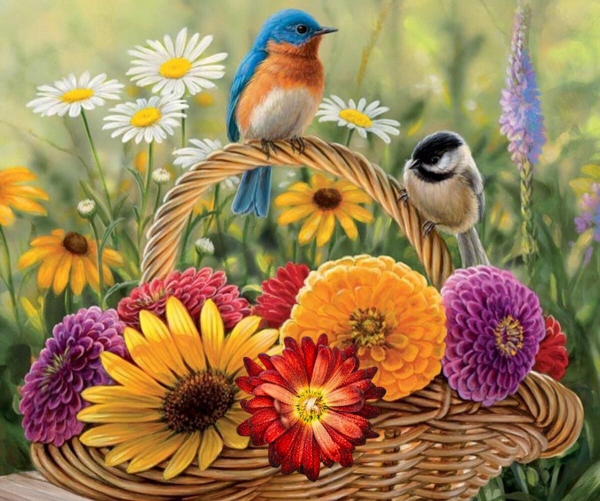 Flowers And Birds Wallpapers Wallpaper Cave
