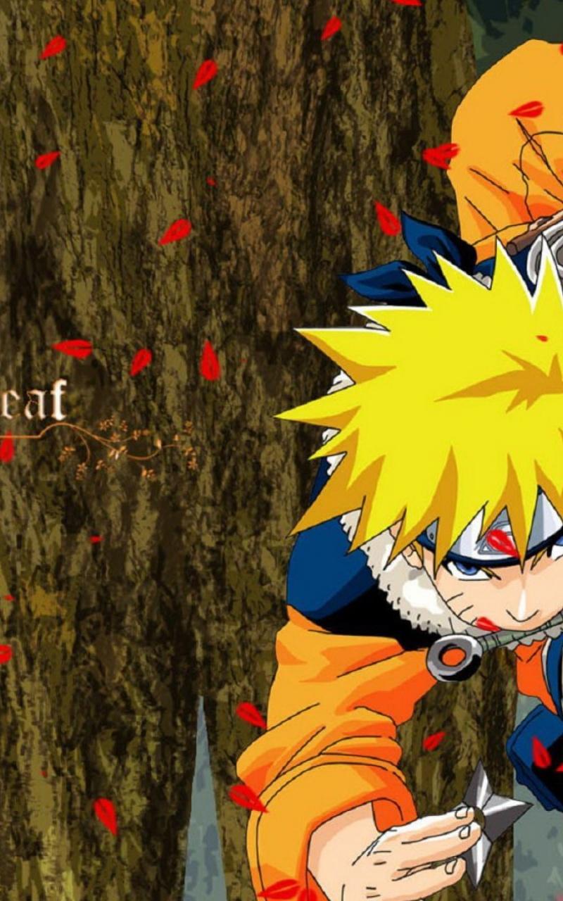 Anime And Cartoons Wallpapers Wallpaper Cave