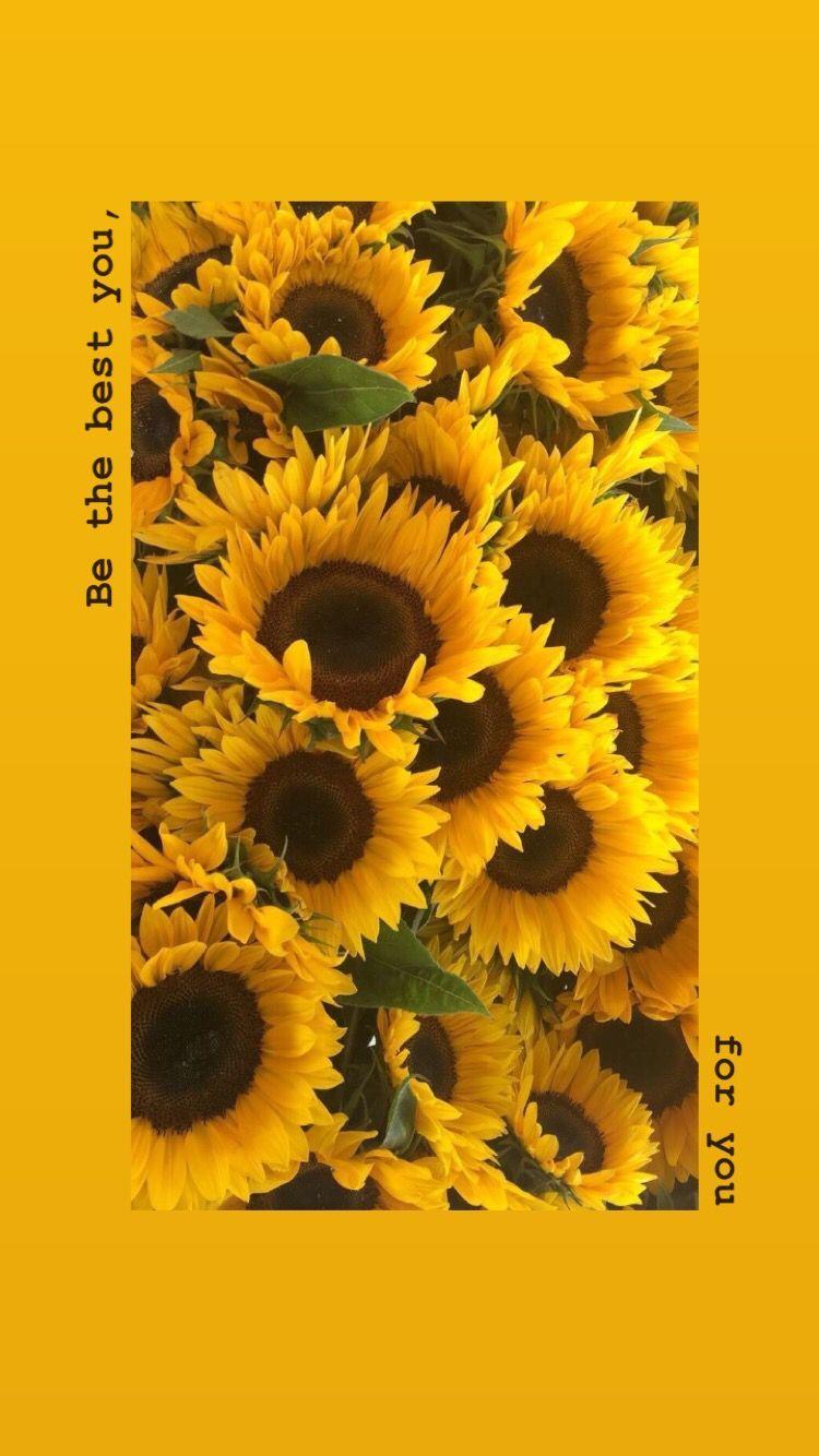 Sunflower Aesthetic Wallpapers Wallpaper Cave